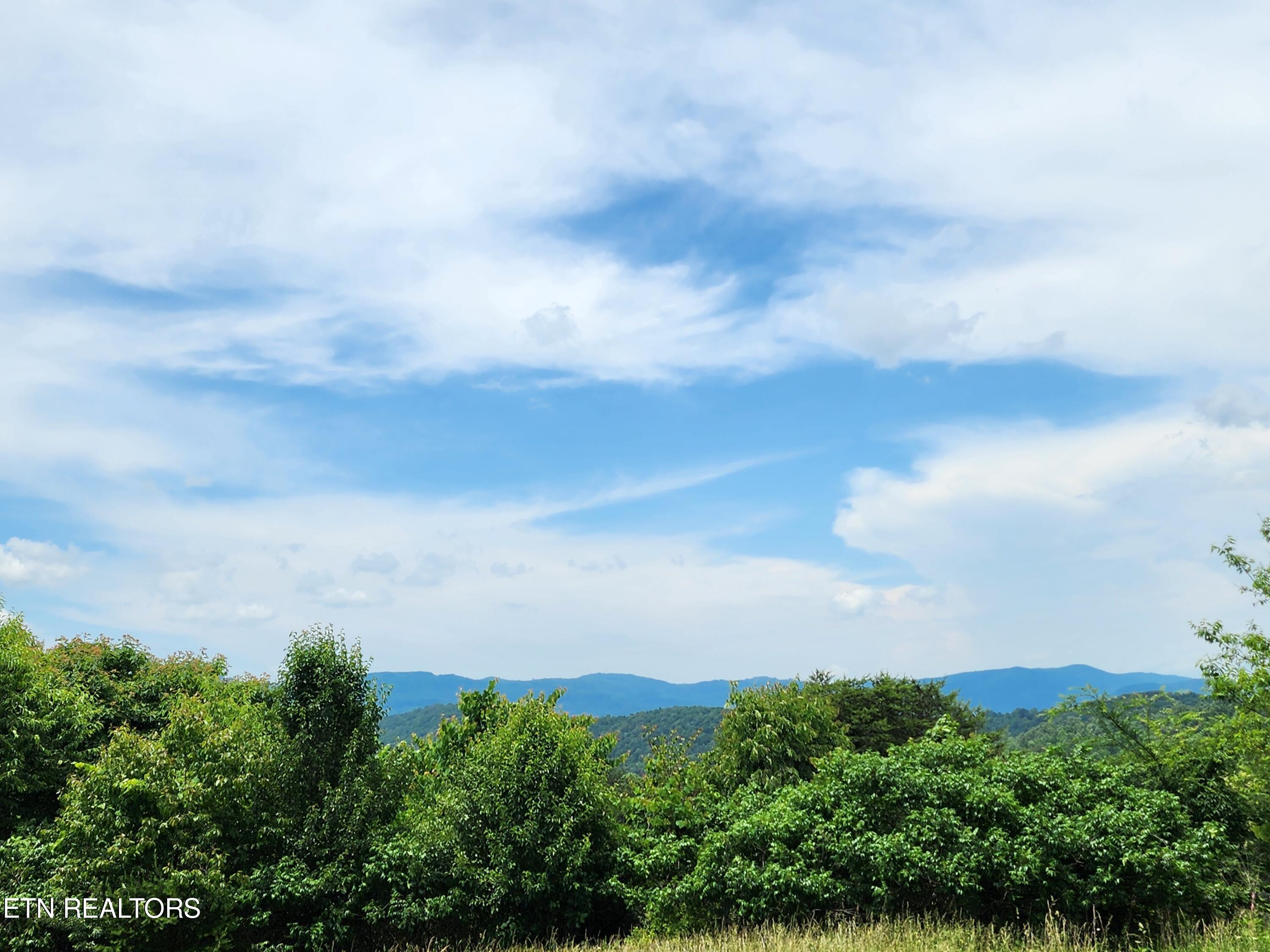 Hiwassee Drive Jacksboro TN 37757