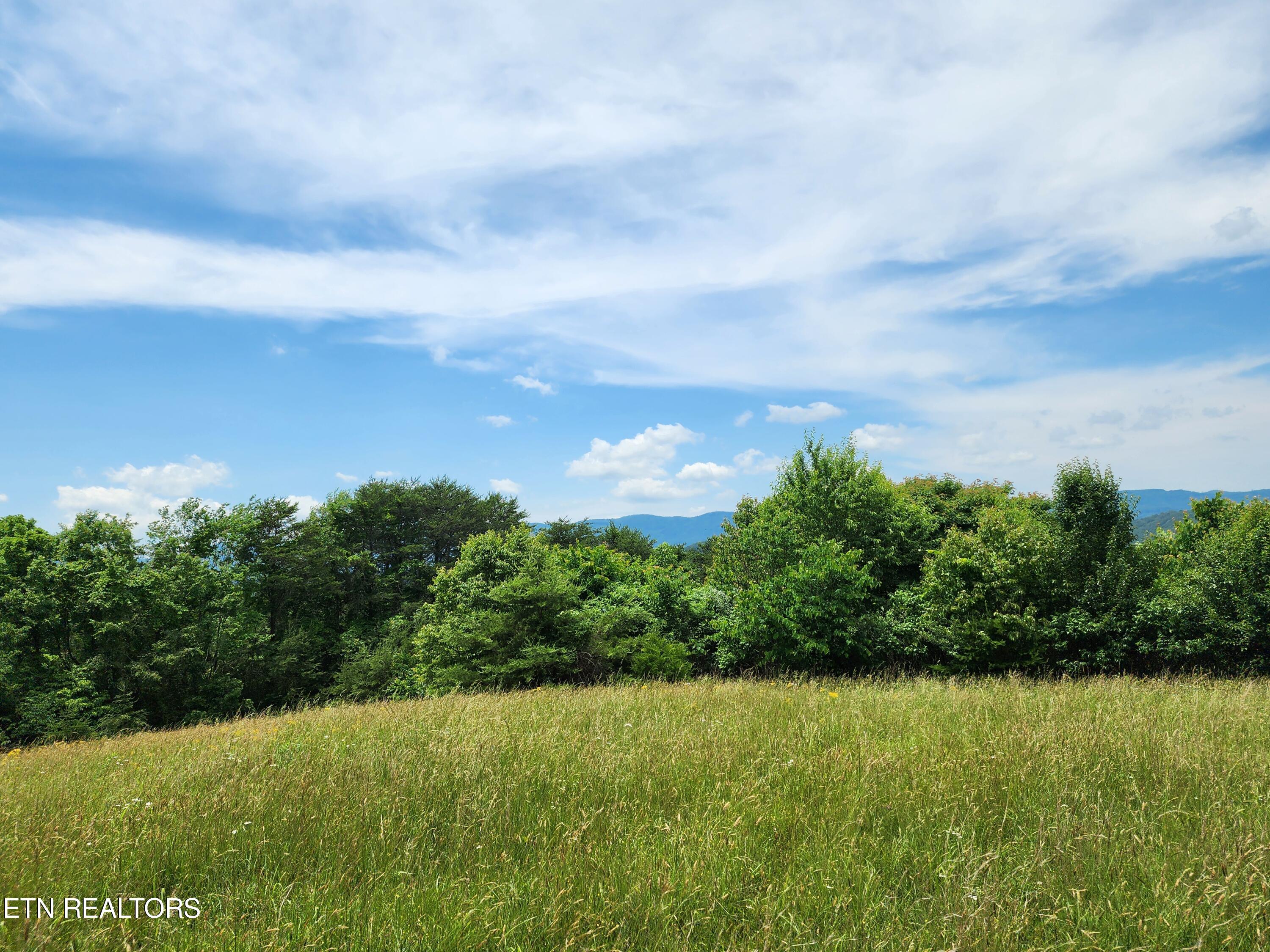 Hiwassee Drive Jacksboro TN 37757