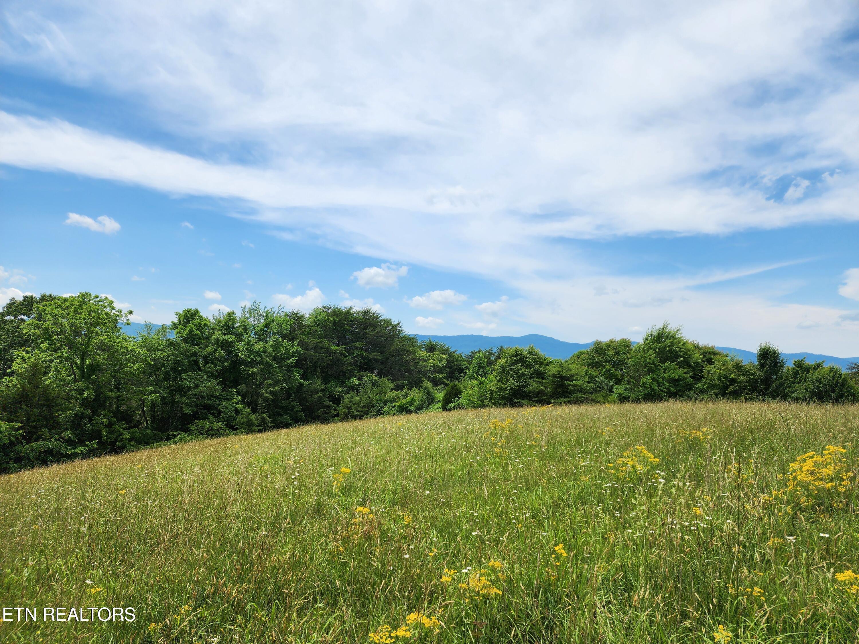 Hiwassee Drive Jacksboro TN 37757
