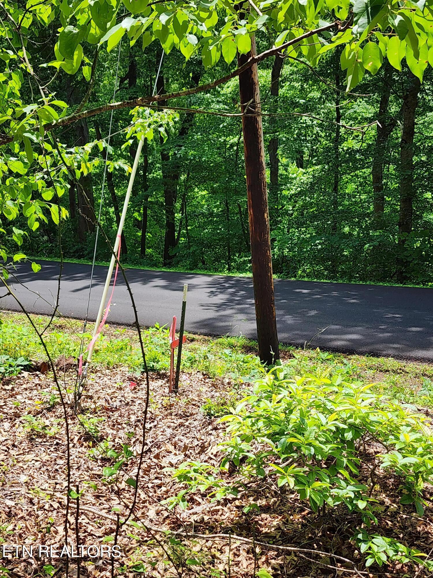 Hiwassee Drive Jacksboro TN 37757