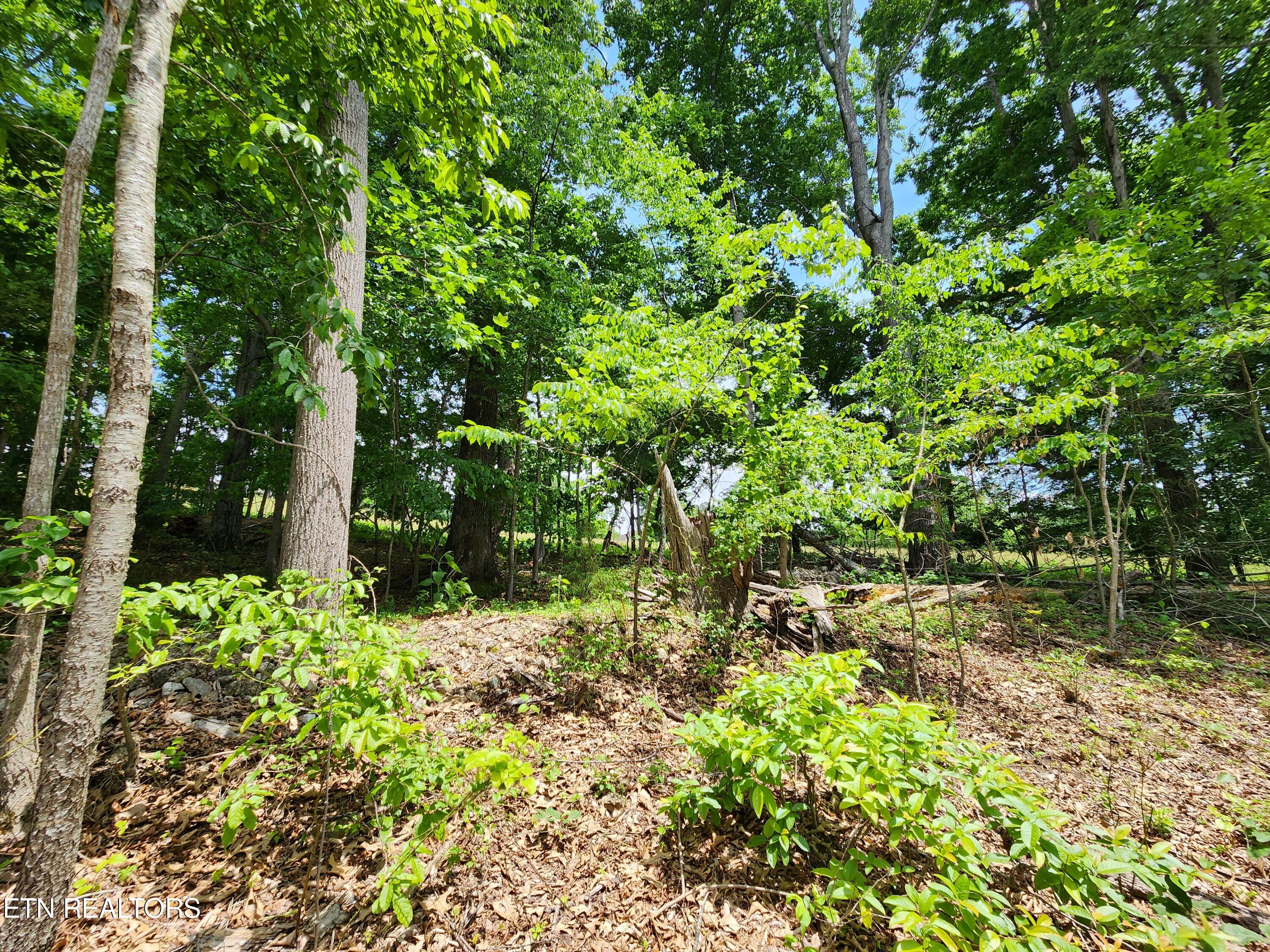 Hiwassee Drive Jacksboro TN 37757