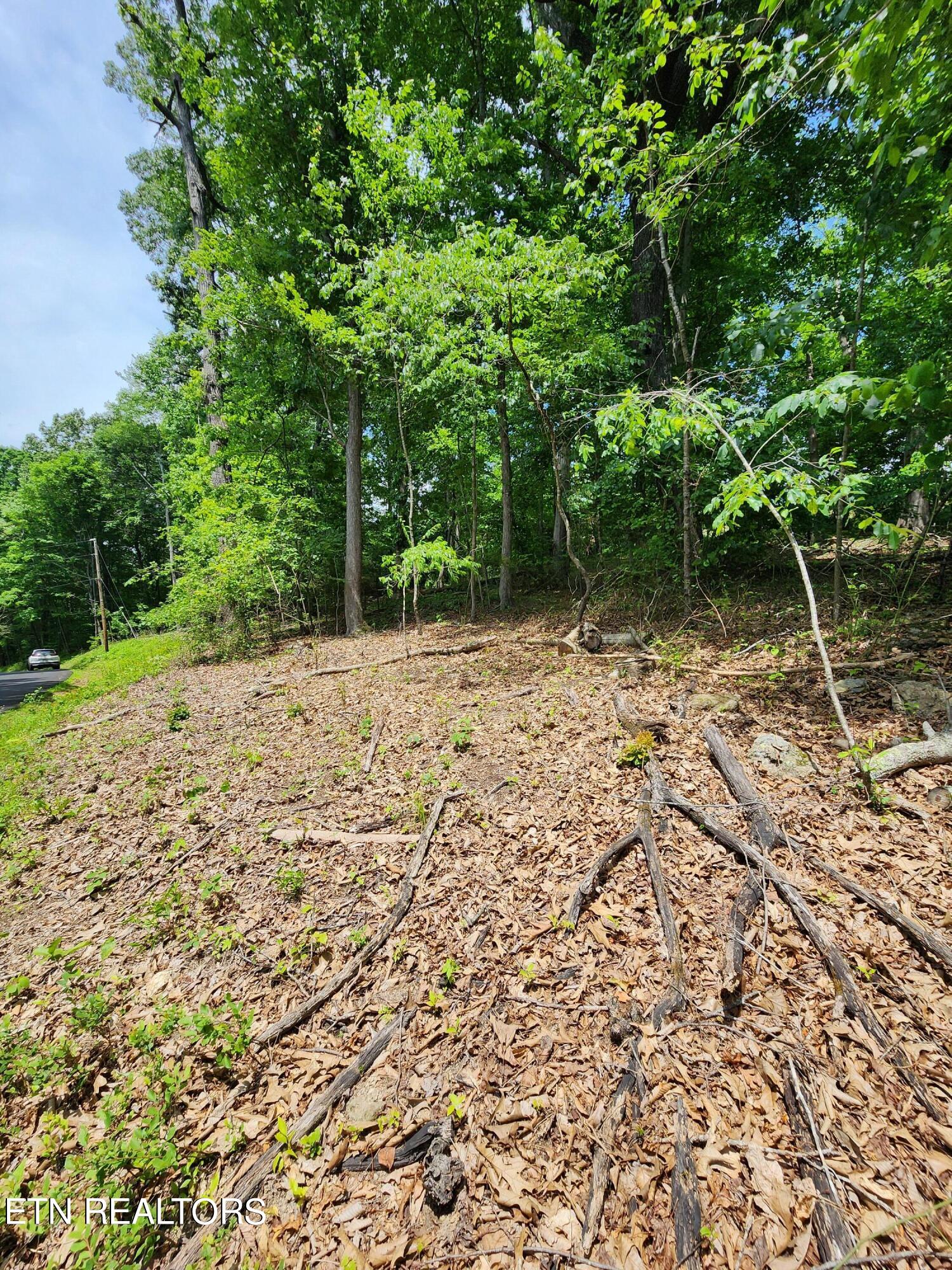 Hiwassee Drive Jacksboro TN 37757
