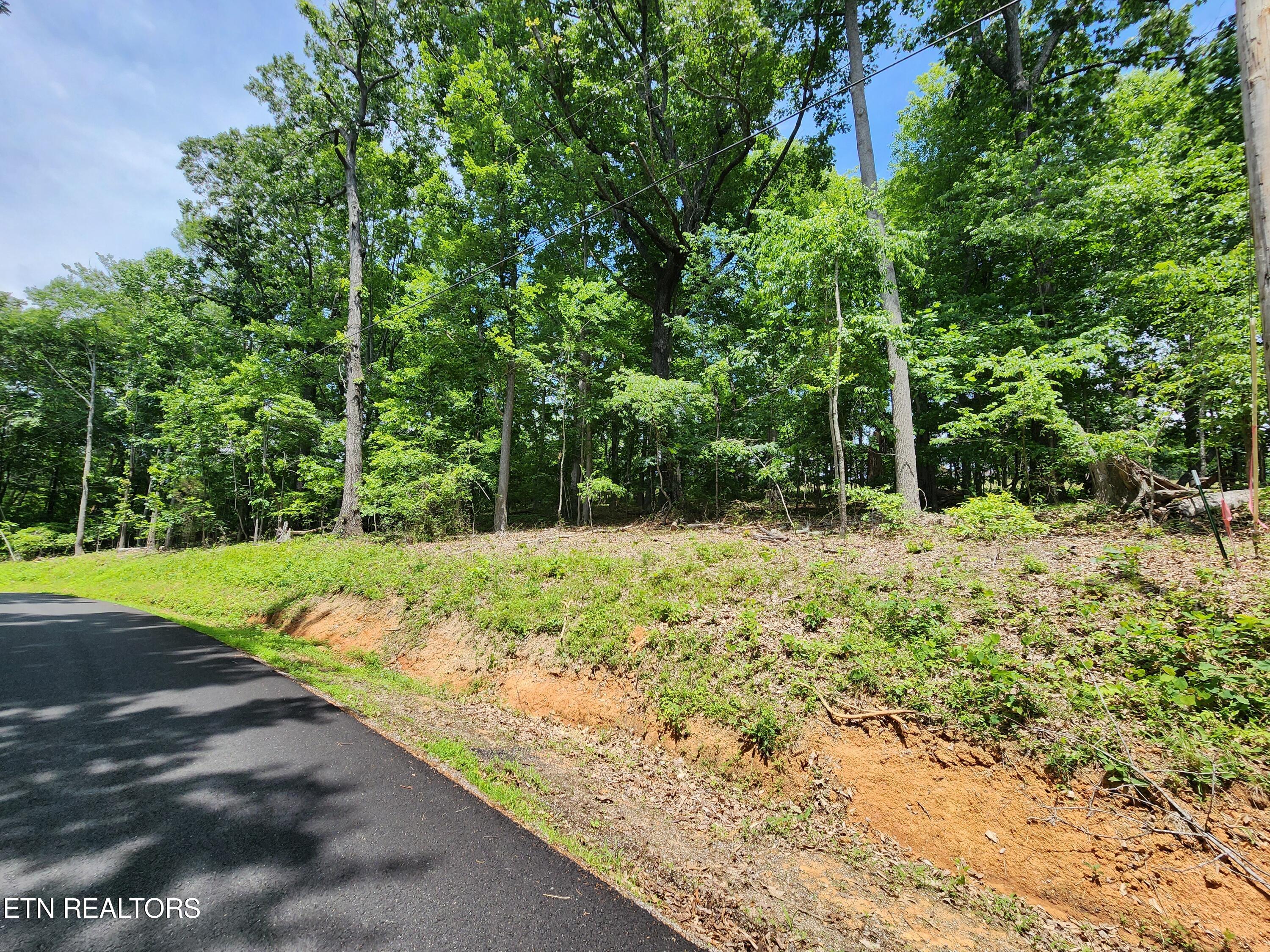 Hiwassee Drive Jacksboro TN 37757