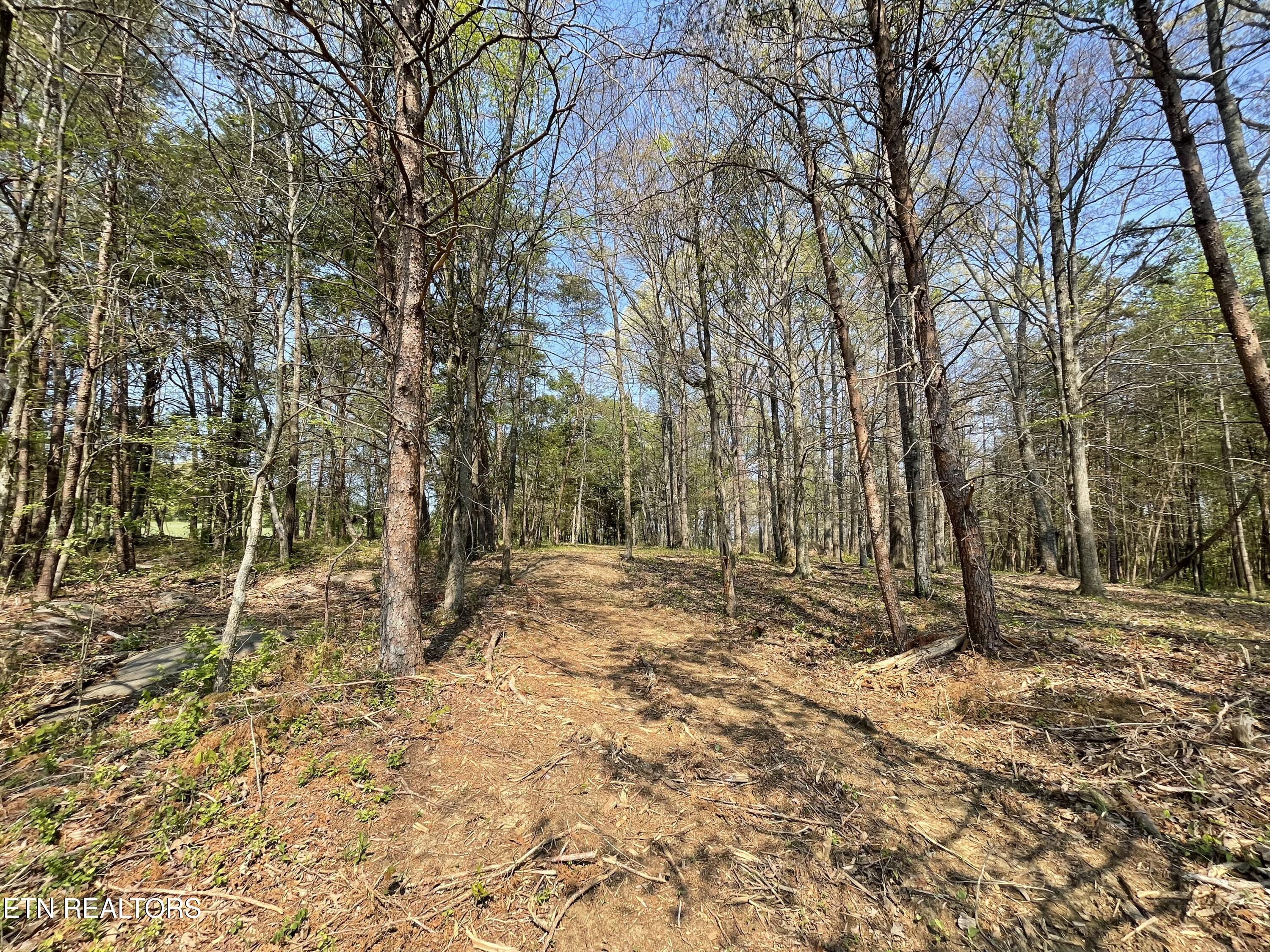 140 Padstow Lane Lenoir City TN 37772