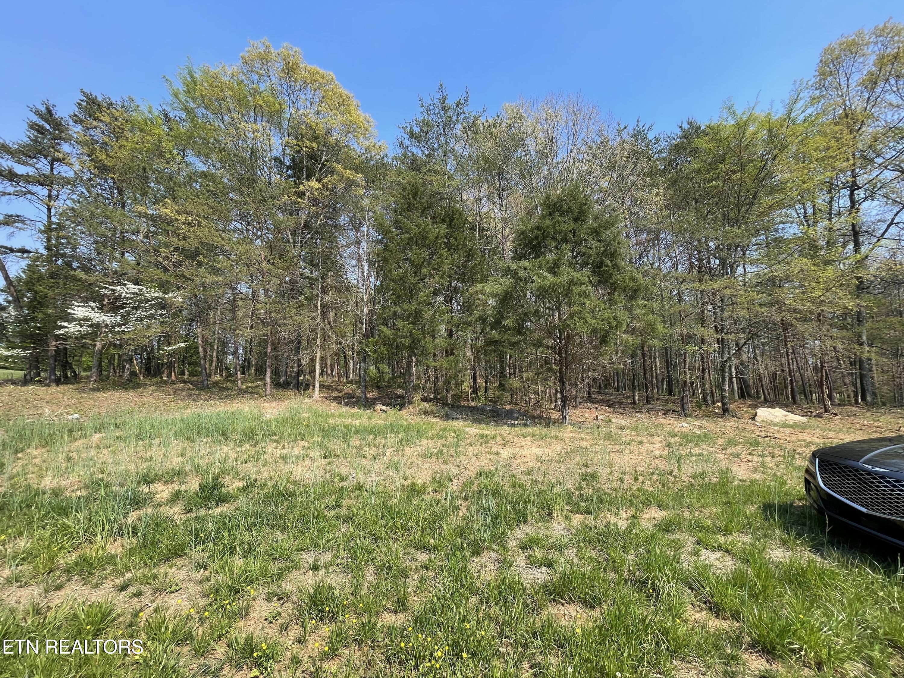 140 Padstow Lane Lenoir City TN 37772