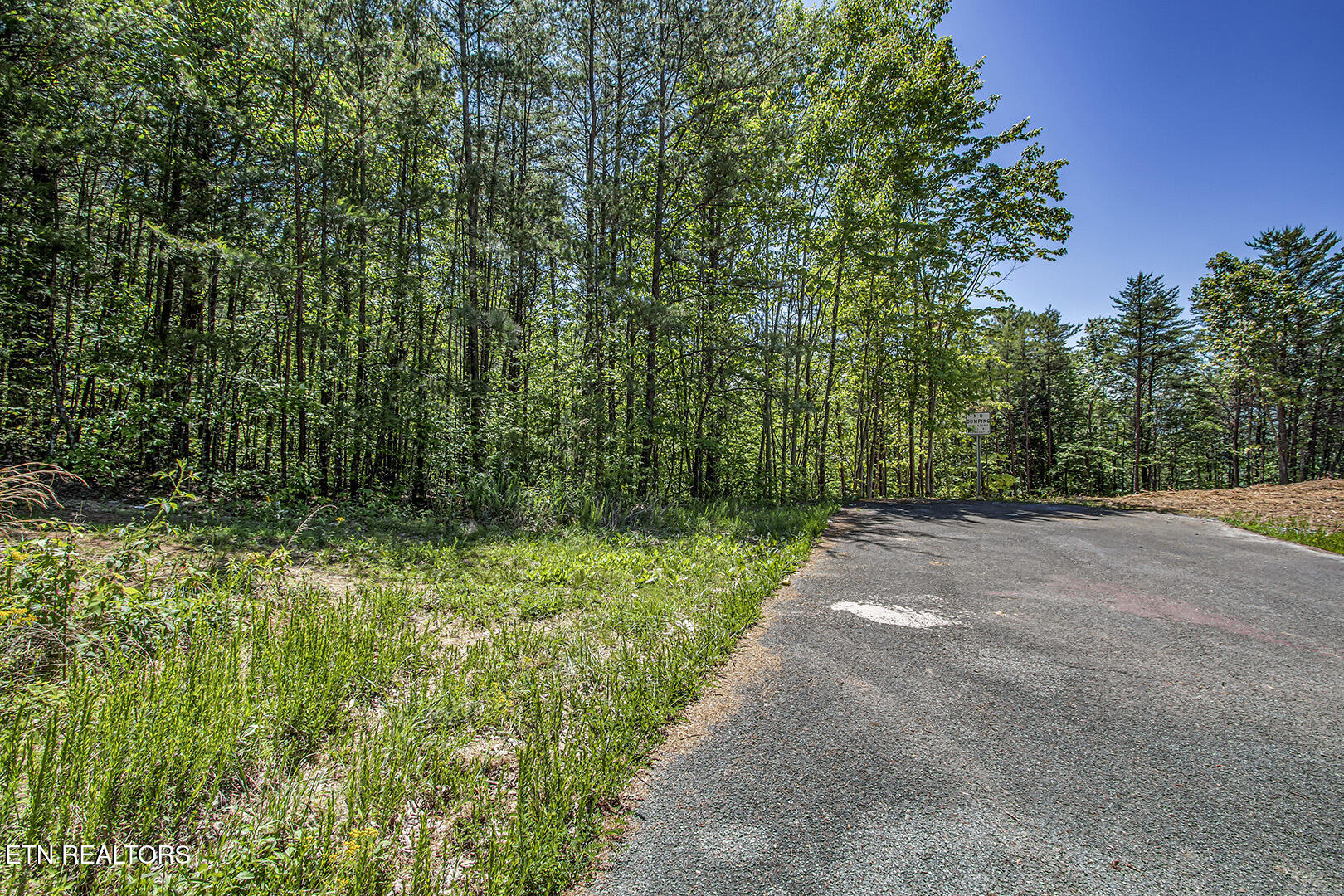 Sassafras Trail Sevierville TN 37876