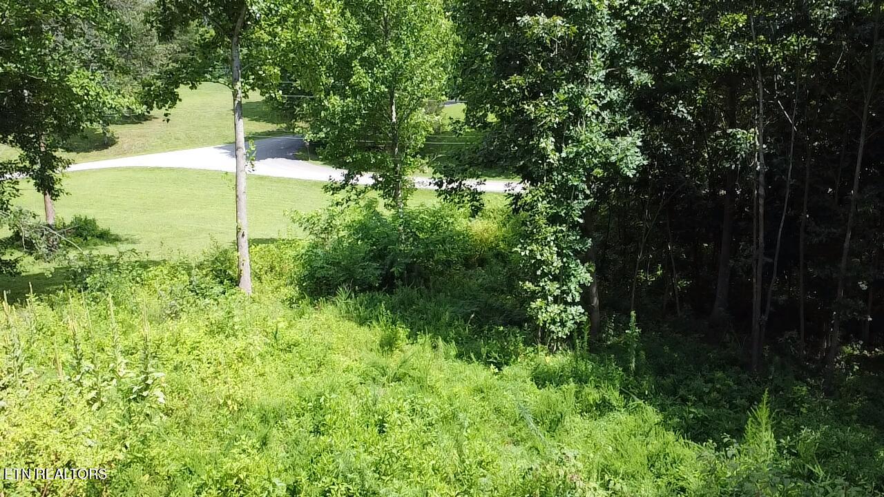 108 Unaka View Sweetwater TN 37874