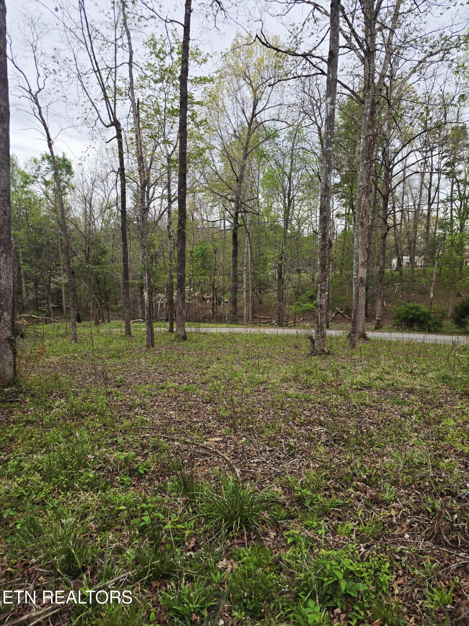 0 Scott-fentress Co. Line Allardt TN 38504