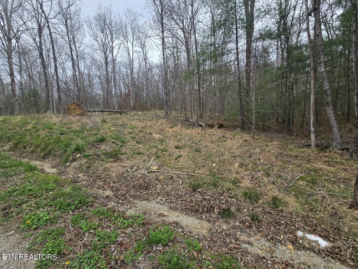 0 Scott-fentress Co. Line Allardt TN 38504
