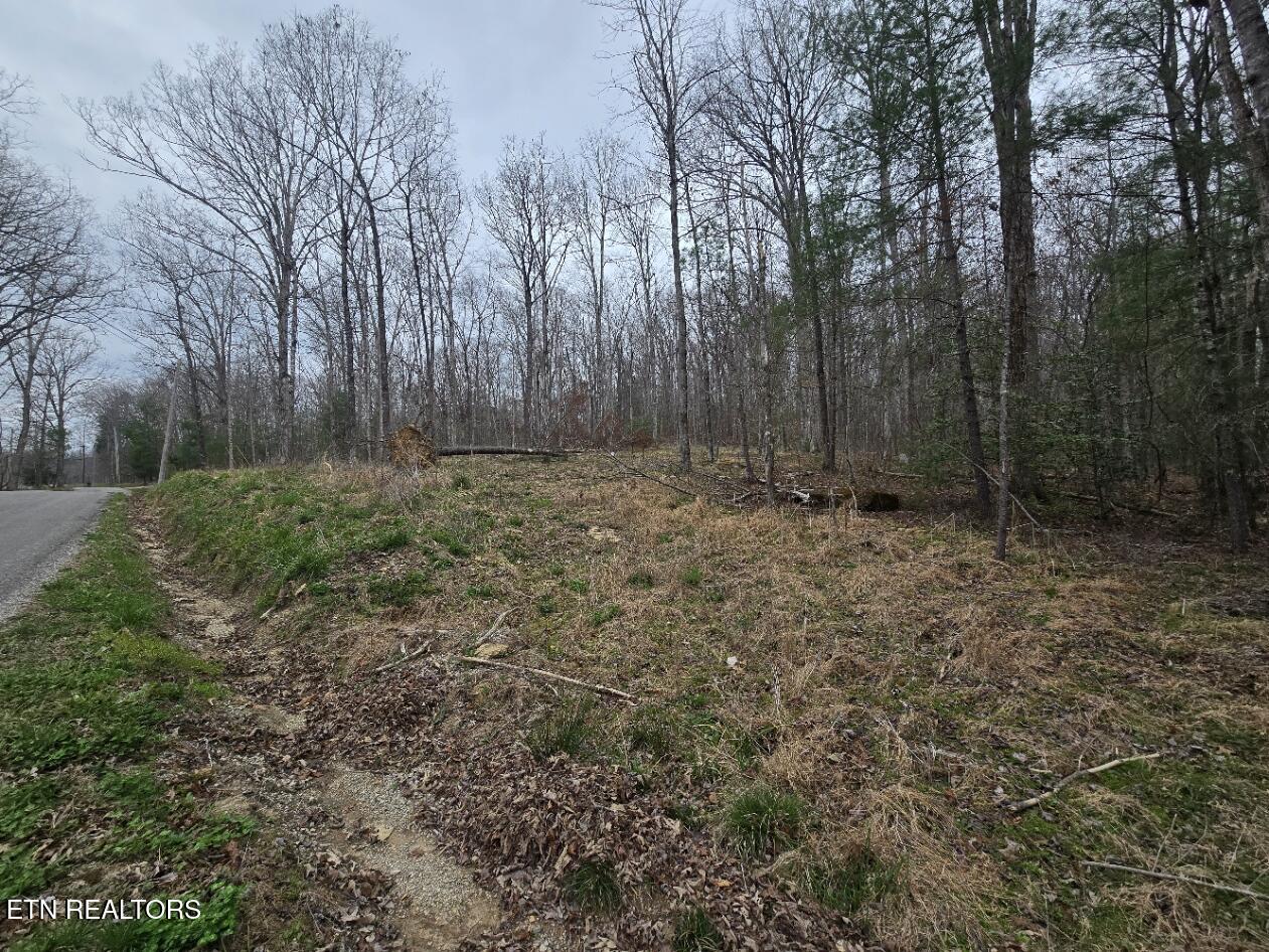 0 Scott-fentress Co. Line Allardt TN 38504