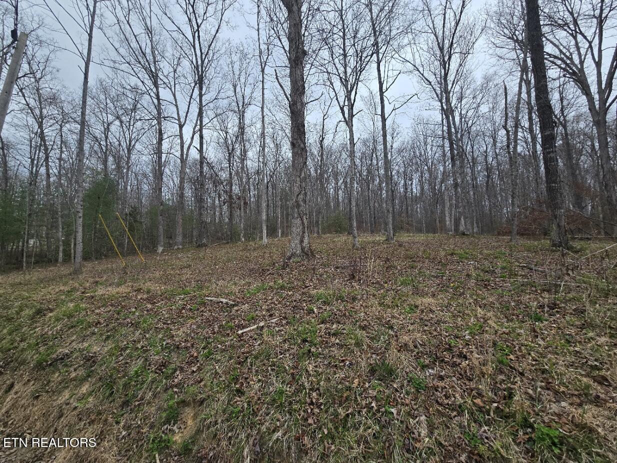 0 Scott-fentress Co. Line Allardt TN 38504