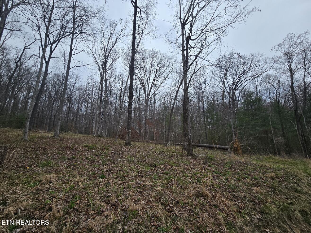 0 Scott-fentress Co. Line Allardt TN 38504