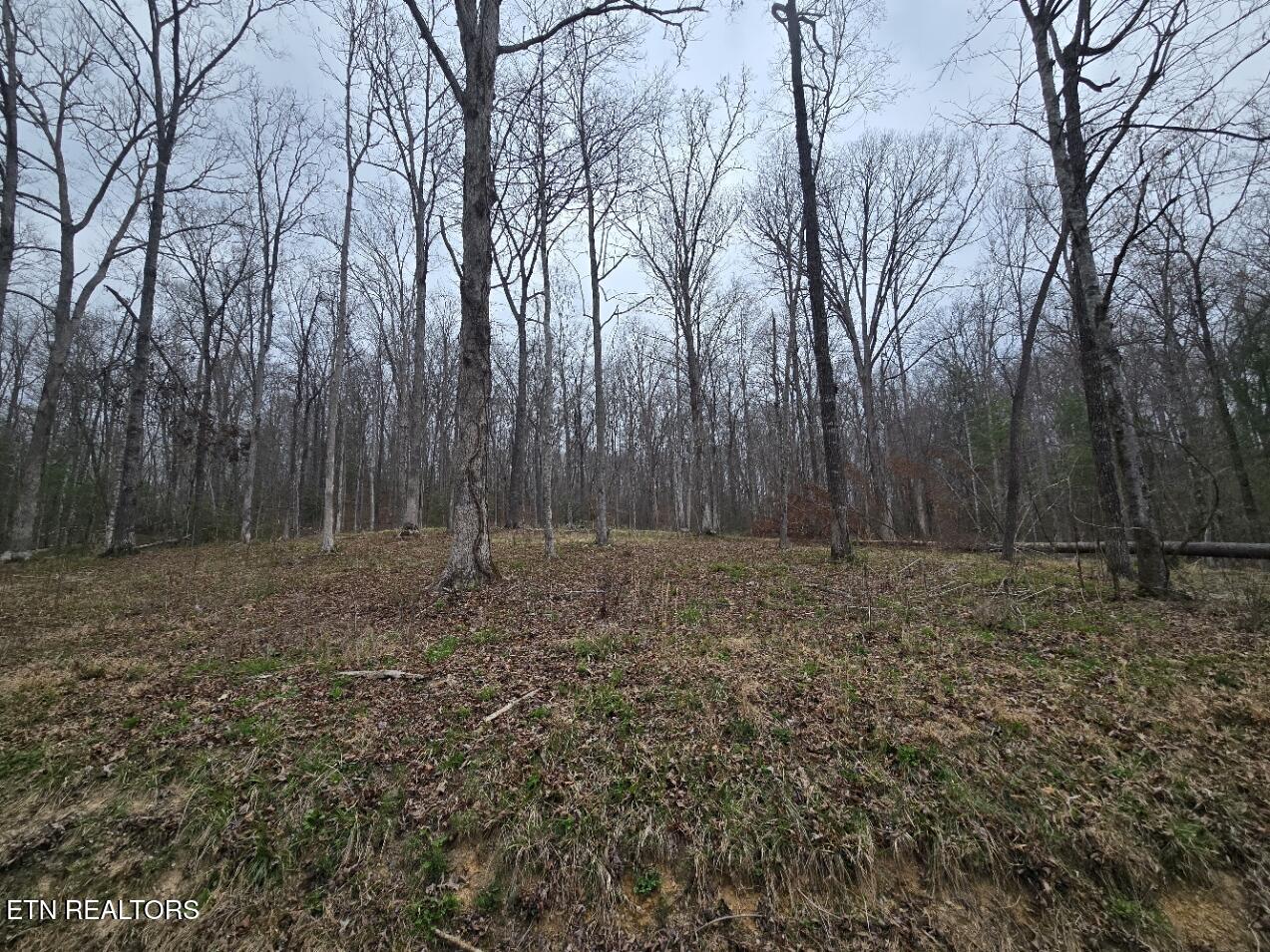 0 Scott-fentress Co. Line Allardt TN 38504