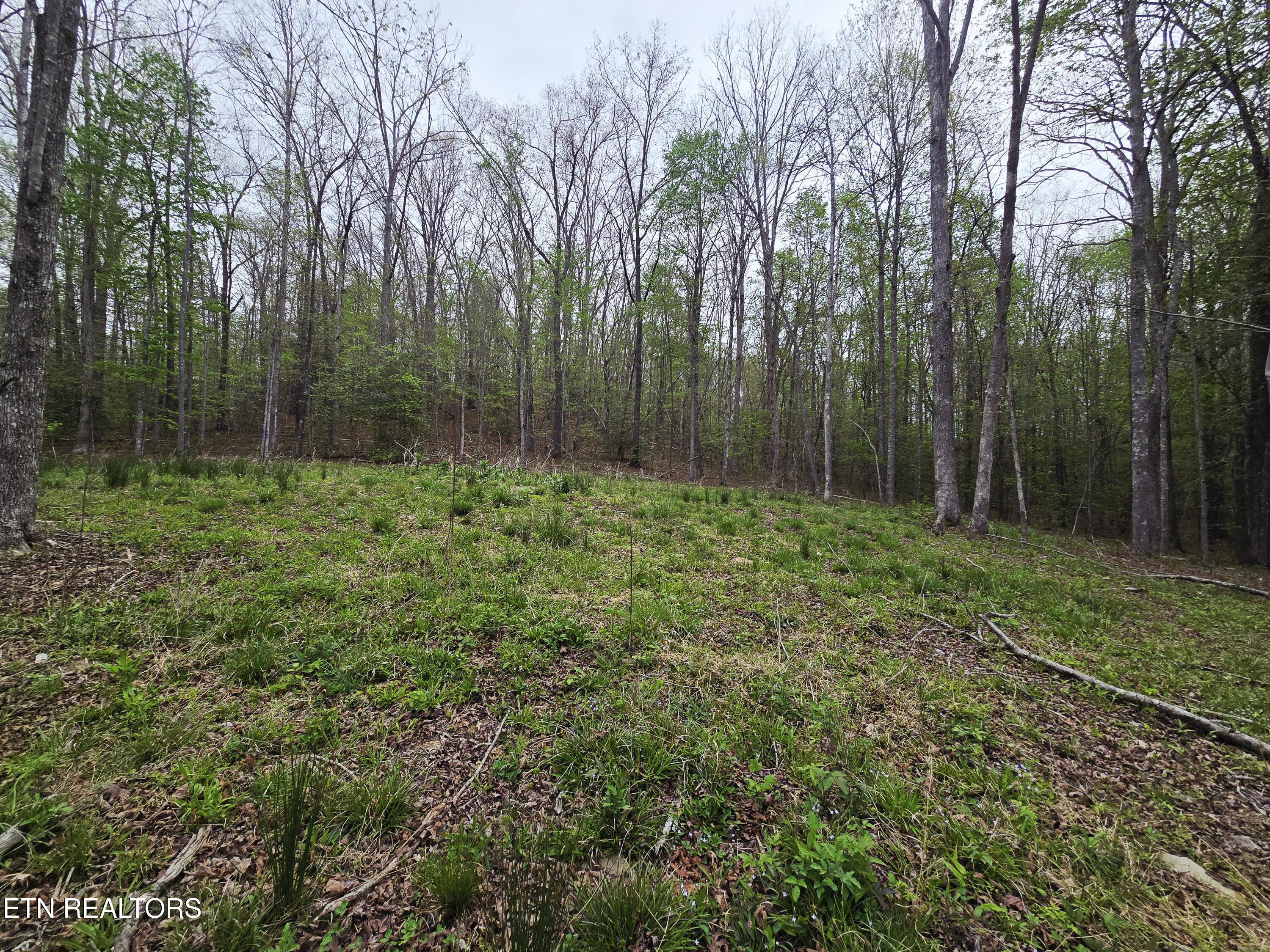 0 Scott-fentress Co. Line Allardt TN 38504