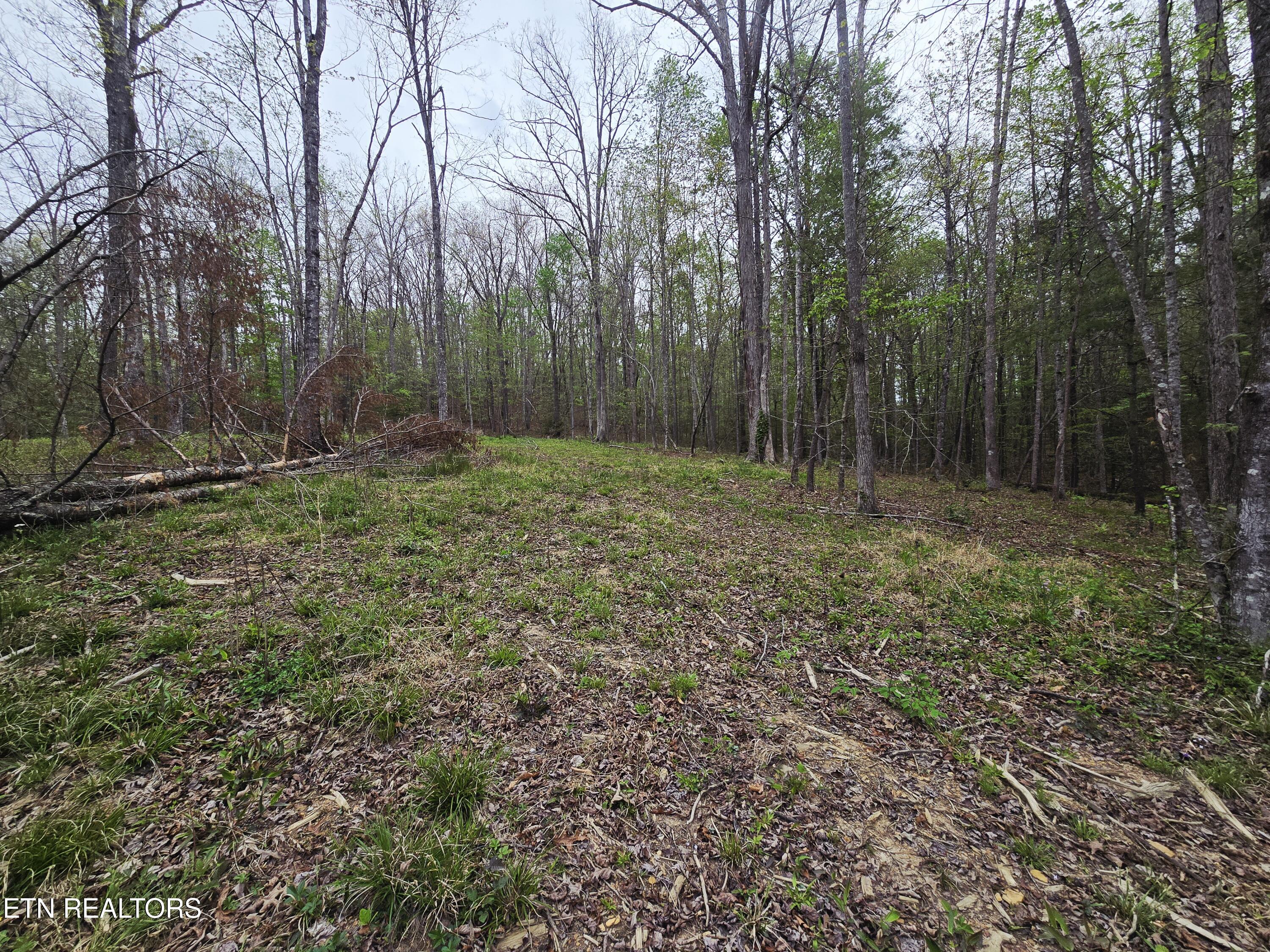 0 Scott-fentress Co. Line Allardt TN 38504