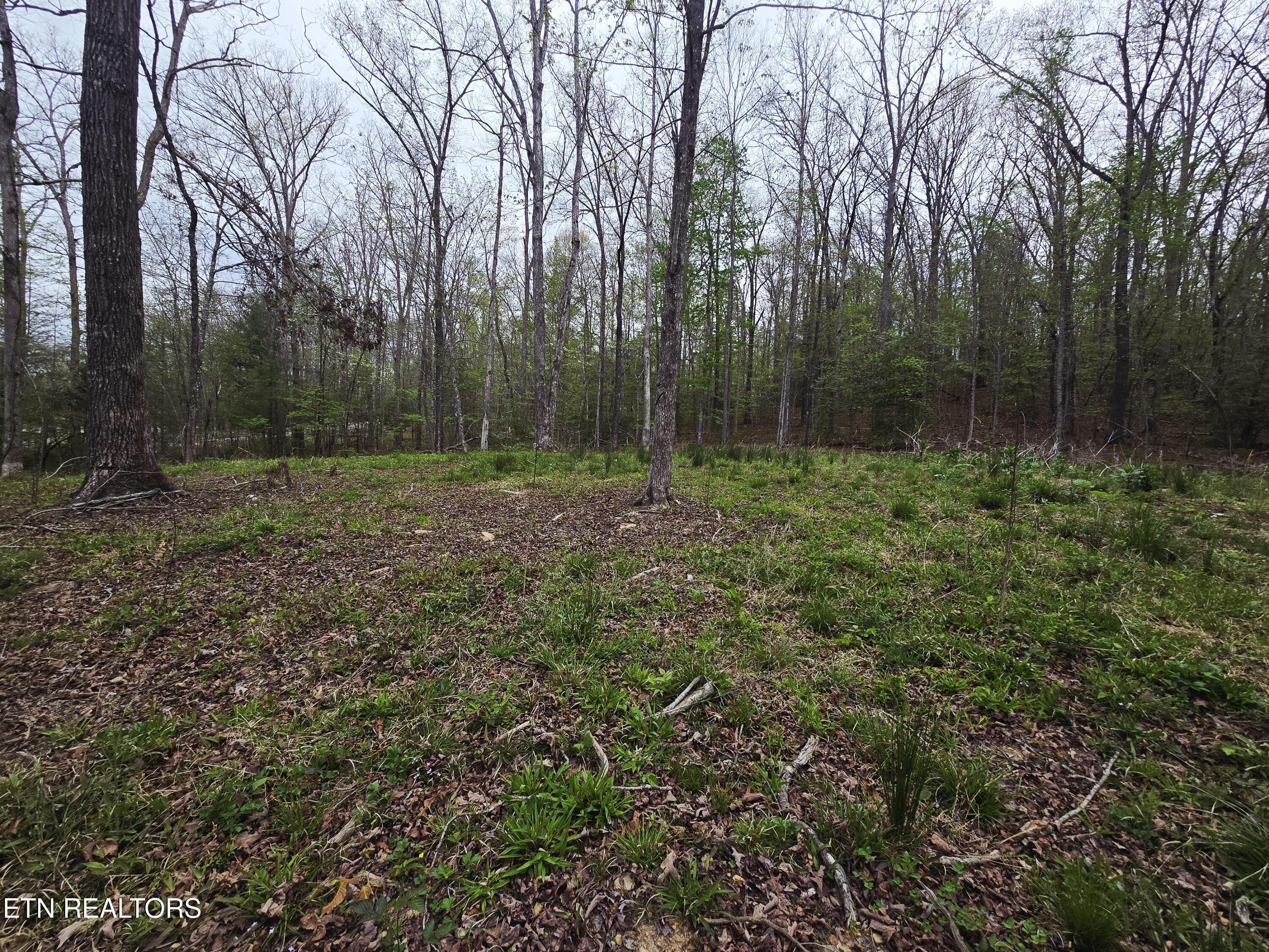 0 Scott-fentress Co. Line Allardt TN 38504