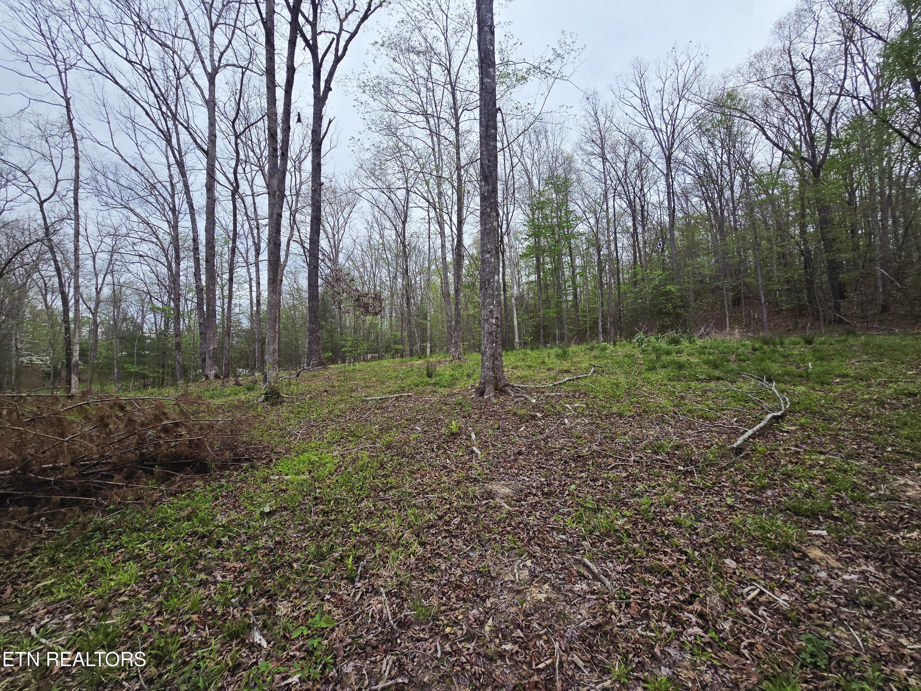 0 Scott-fentress Co. Line Allardt TN 38504