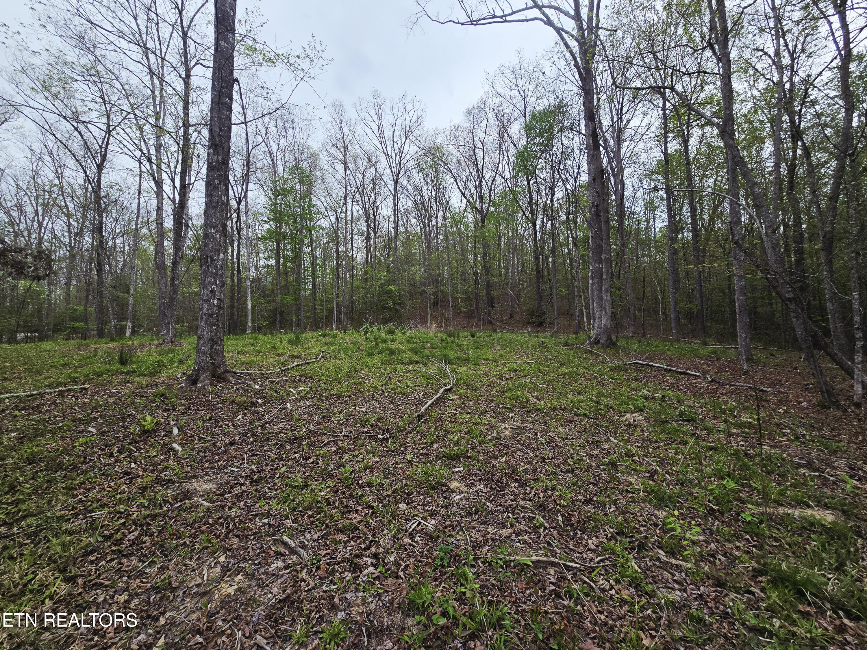 0 Scott-fentress Co. Line Allardt TN 38504