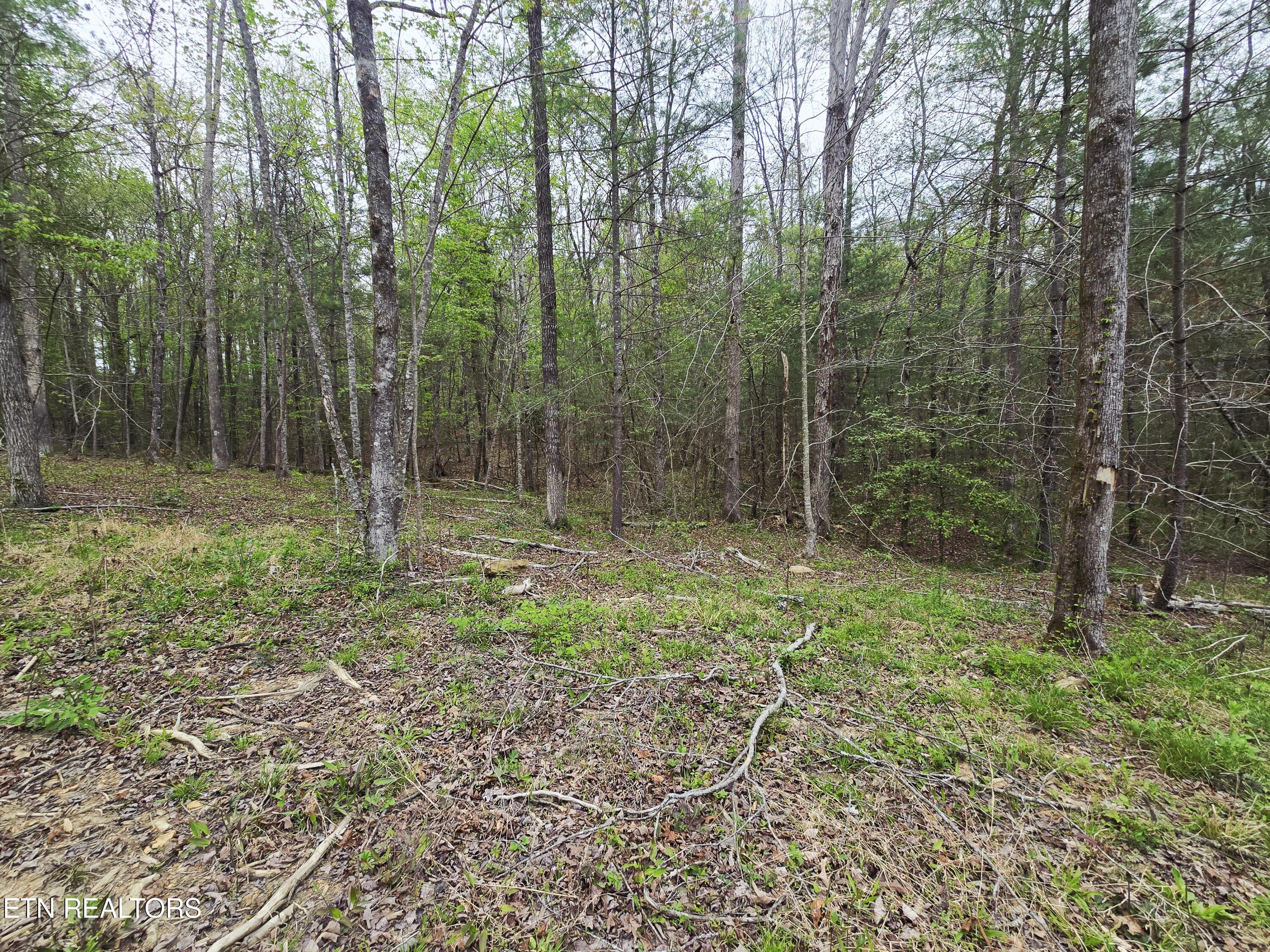 0 Scott-fentress Co. Line Allardt TN 38504