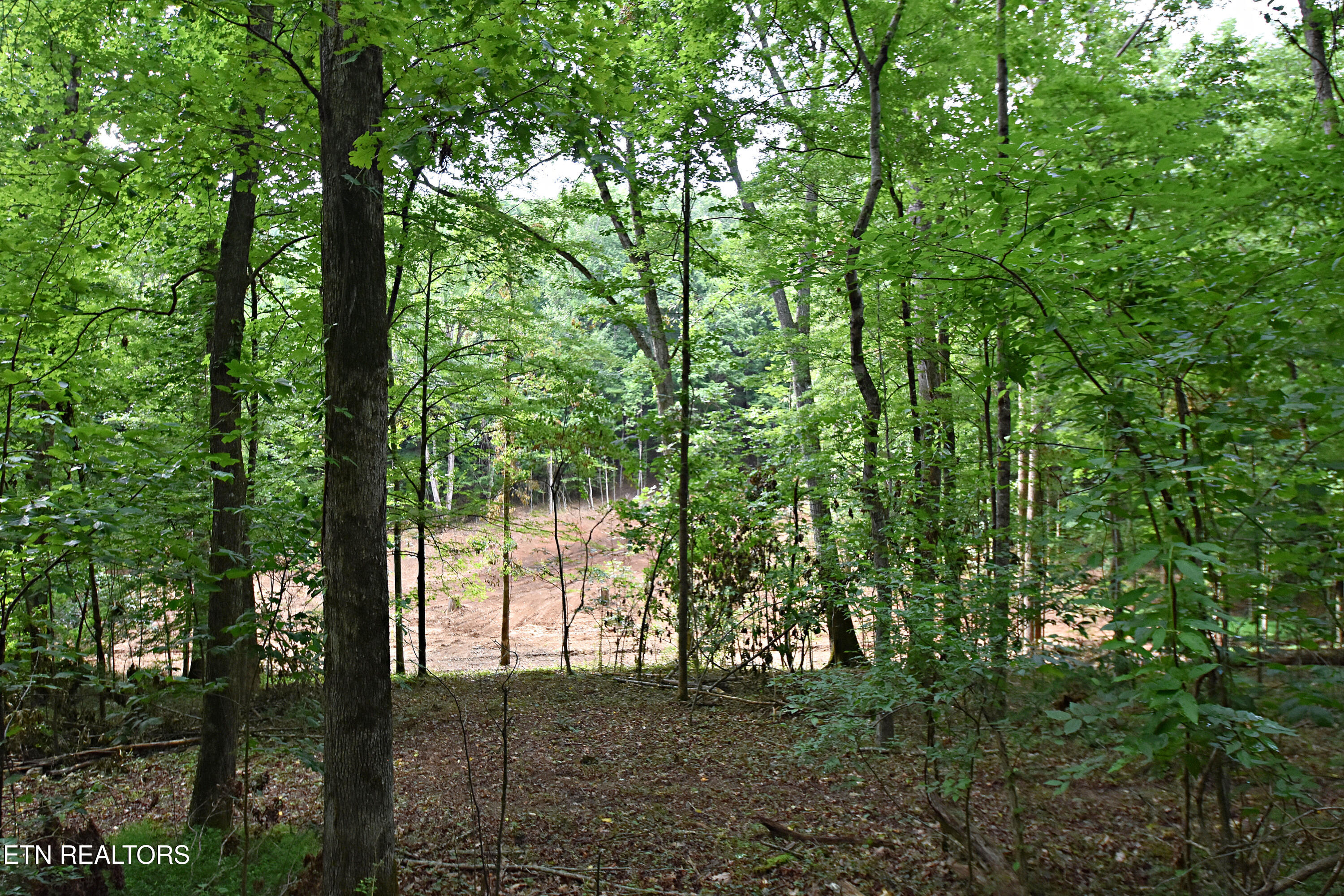 0 Early Road Knoxville TN 37922