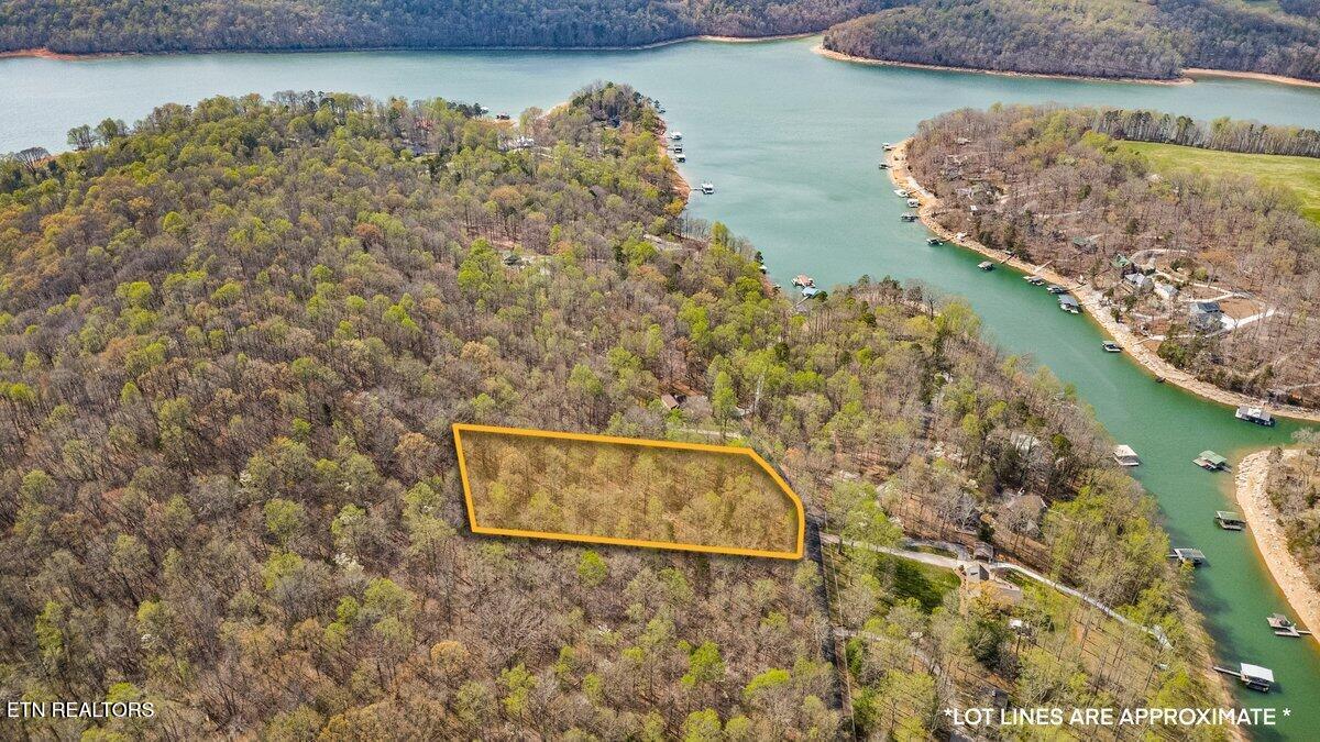 Sequoyah Lot 93 Road Andersonville TN 37705