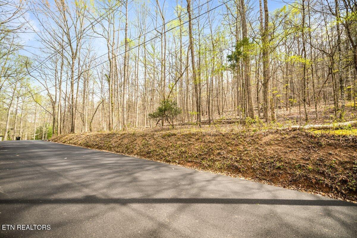 Sequoyah Lot 93 Road Andersonville TN 37705