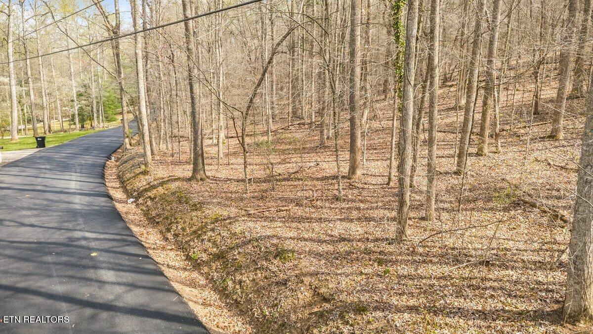 Sequoyah Lot 93 Road Andersonville TN 37705
