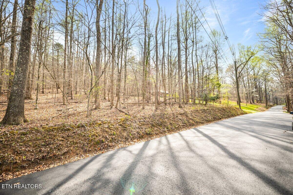 Sequoyah Lot 93 Road Andersonville TN 37705