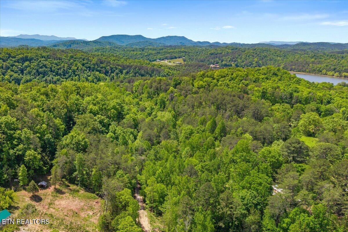 215 Citico Road Lot 2 Road Vonore TN 37885