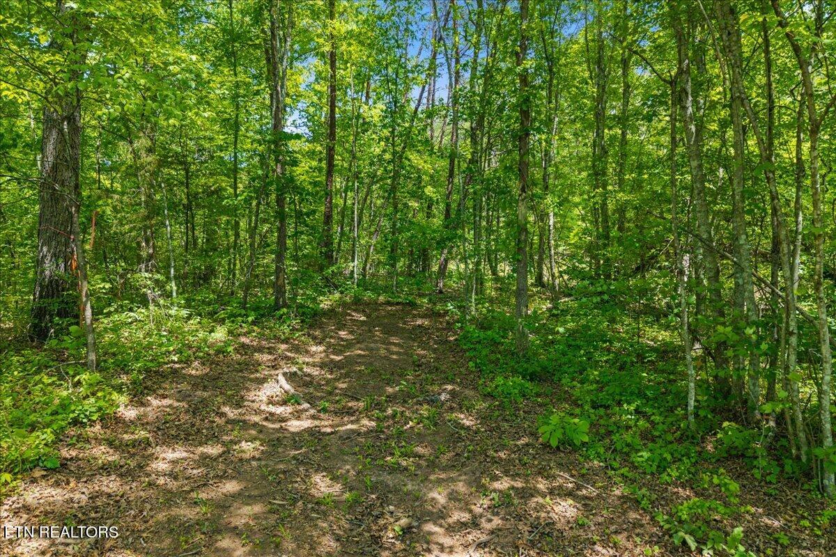 215 Citico Road Lot 2 Road Vonore TN 37885