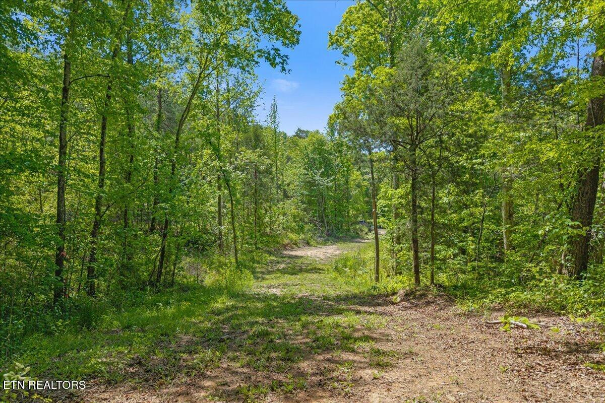 215 Citico Road Lot 2 Road Vonore TN 37885