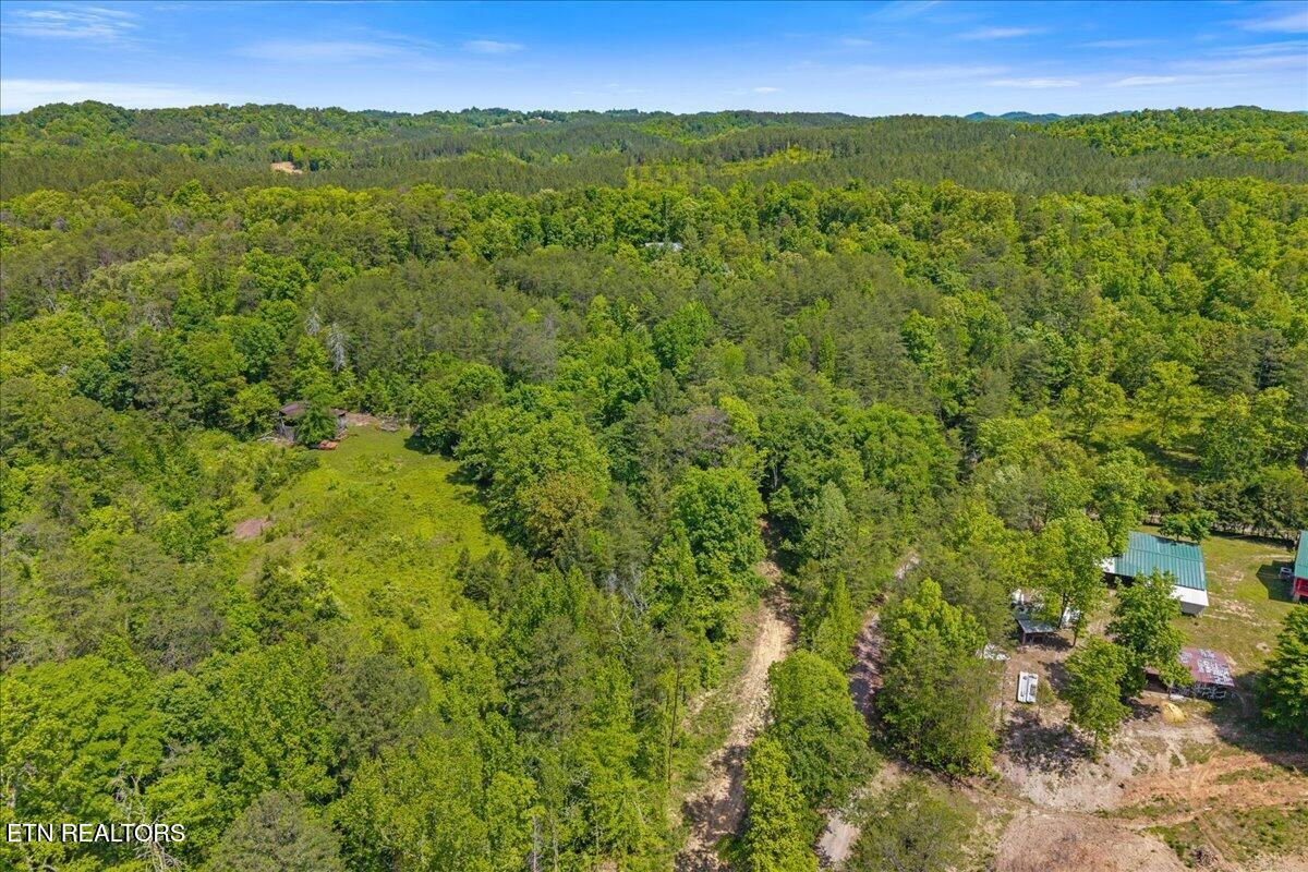 215 Citico Road Lot 2 Road Vonore TN 37885