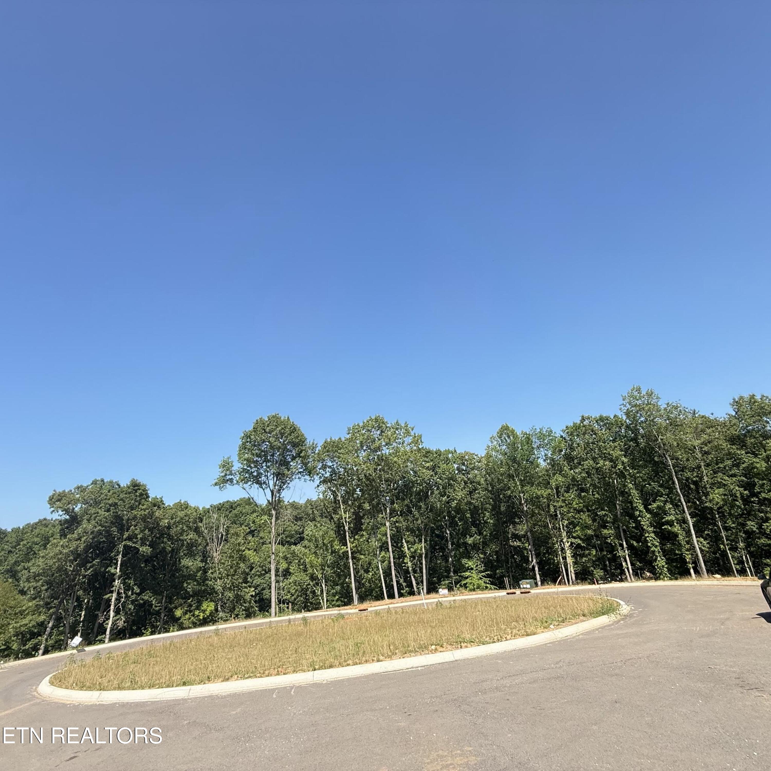 2828 SW Shorewoood Point Morristown TN 37813