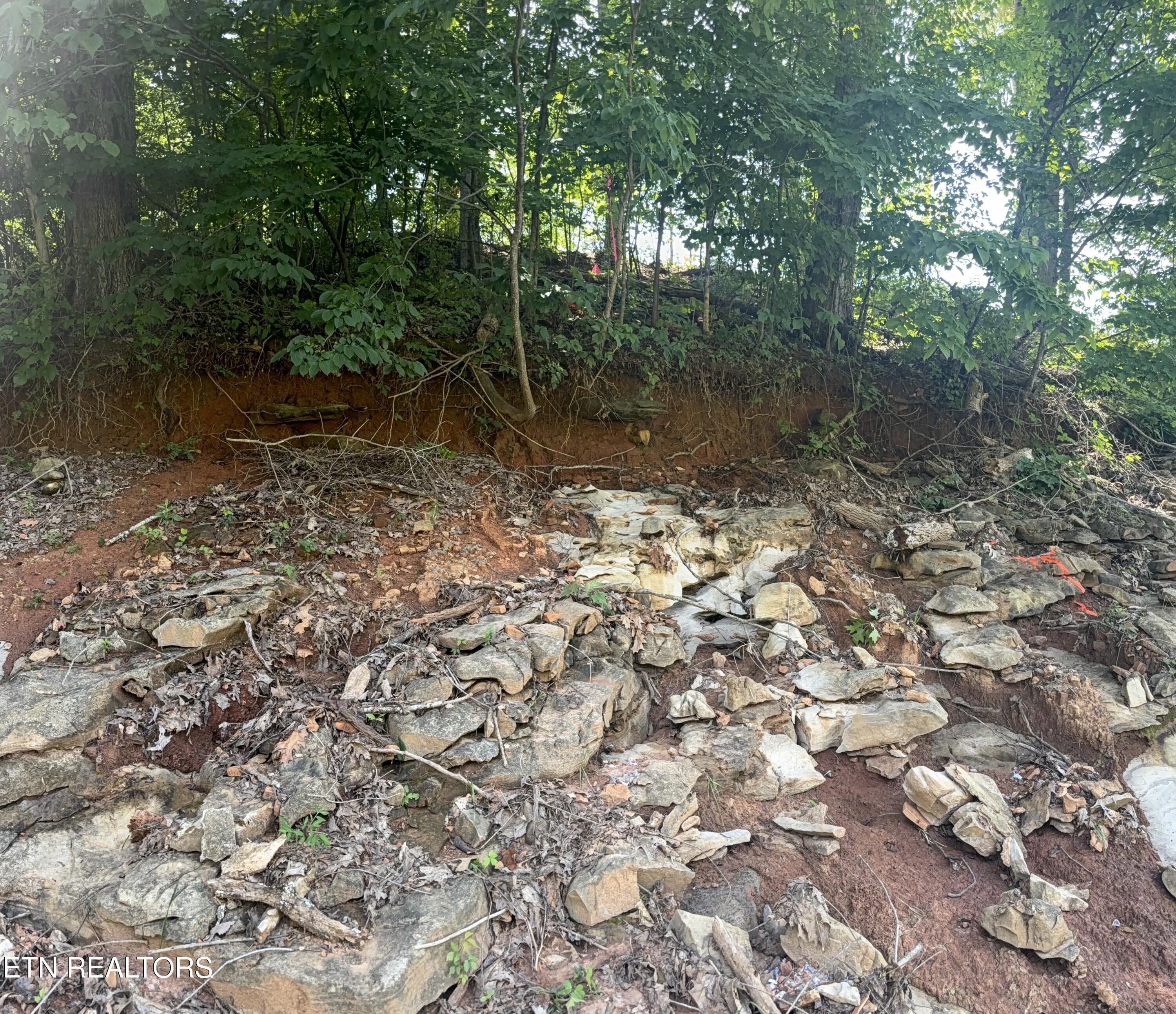 2828 SW Shorewoood Point Morristown TN 37813