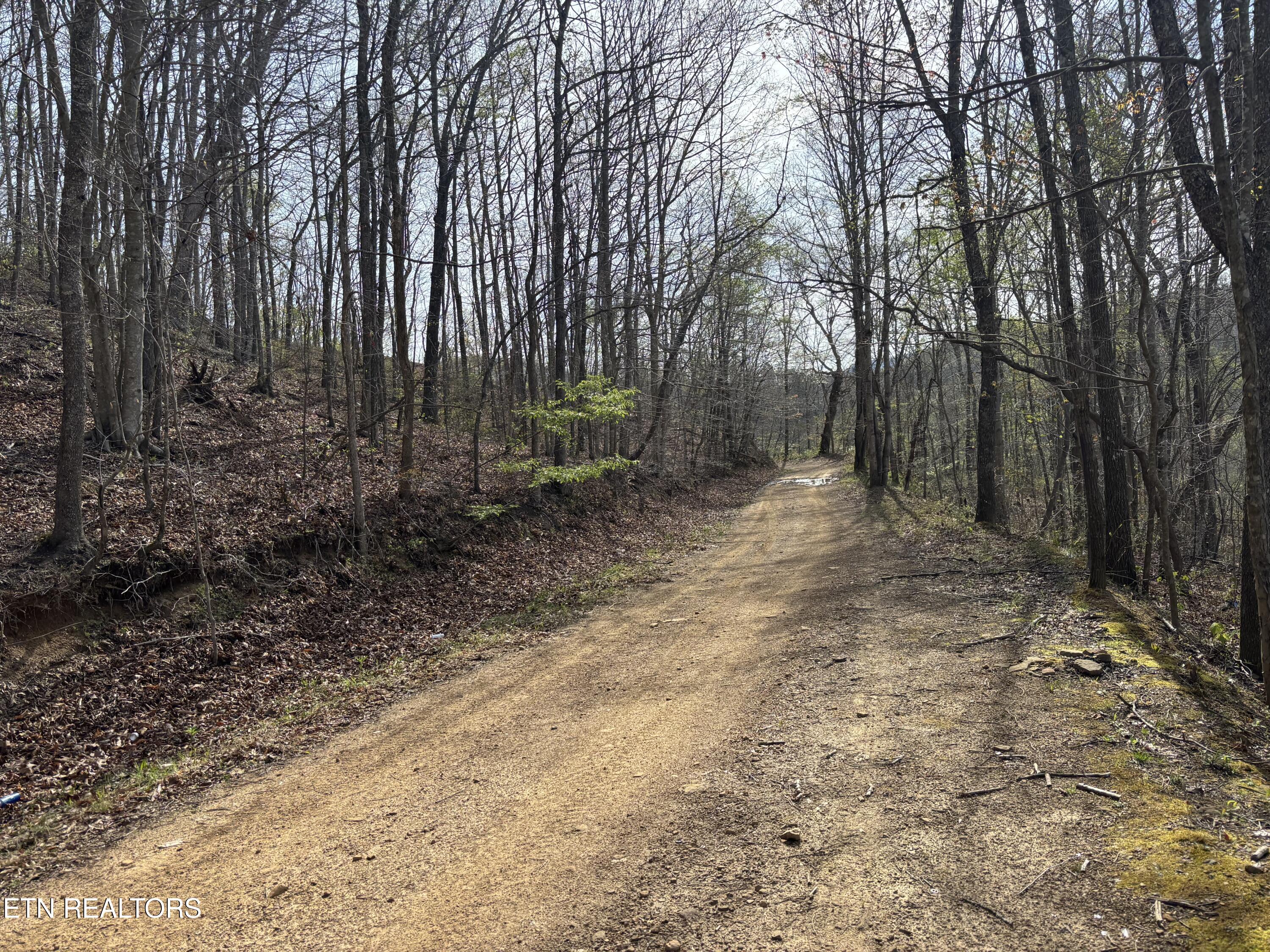 Lawson Road Huntsville TN 37756