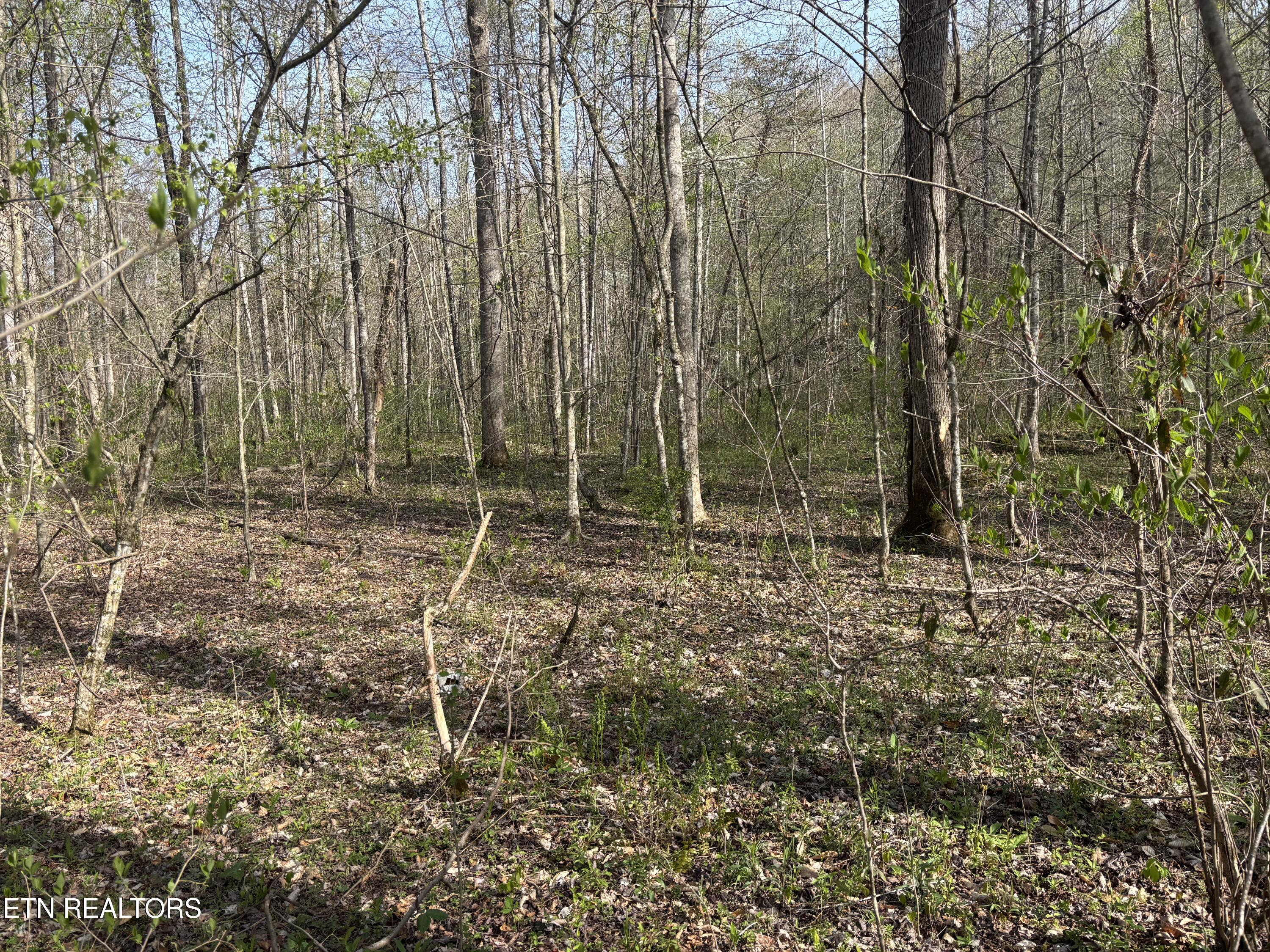 Lawson Road Huntsville TN 37756