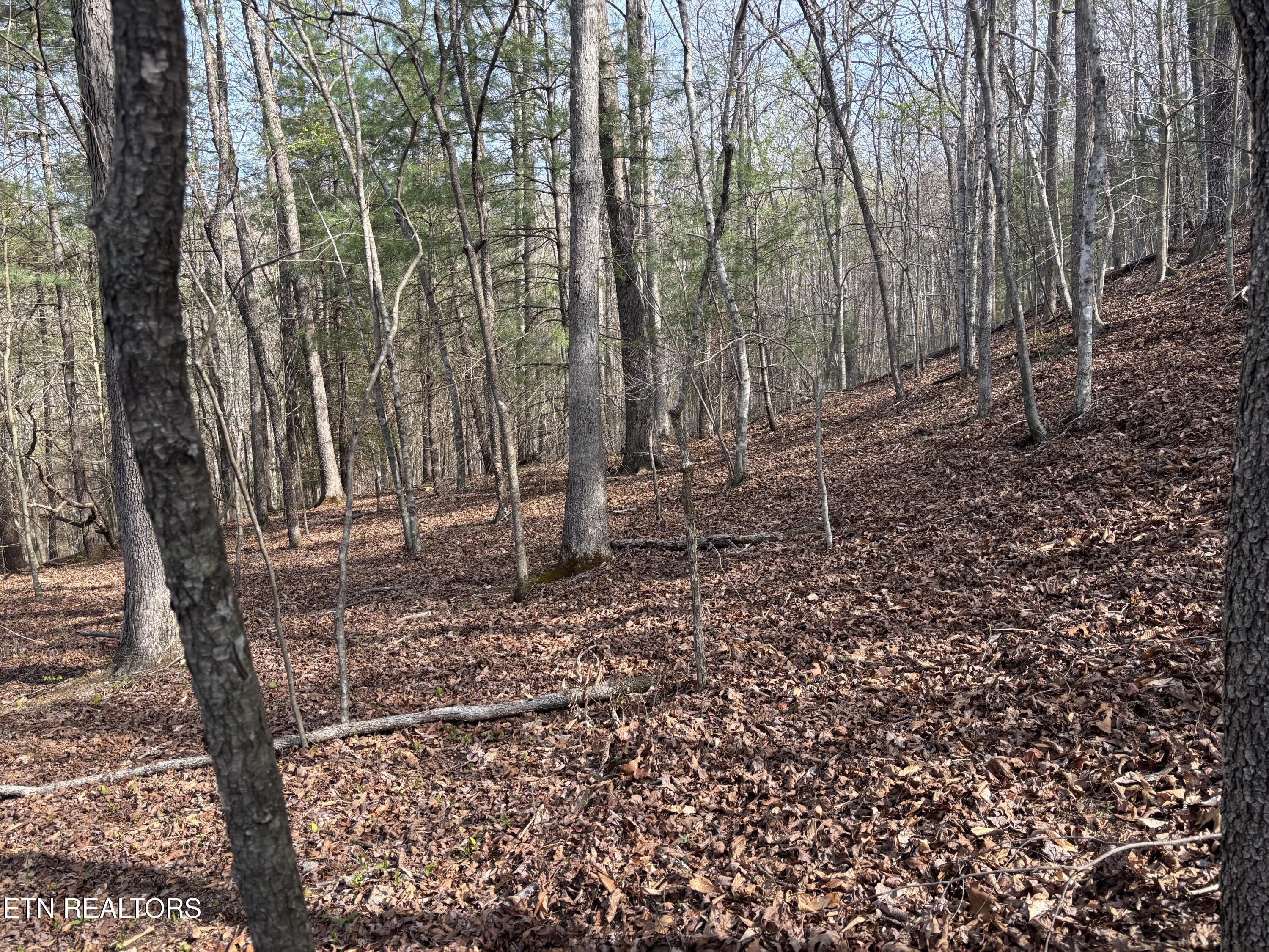Lawson Road Huntsville TN 37756