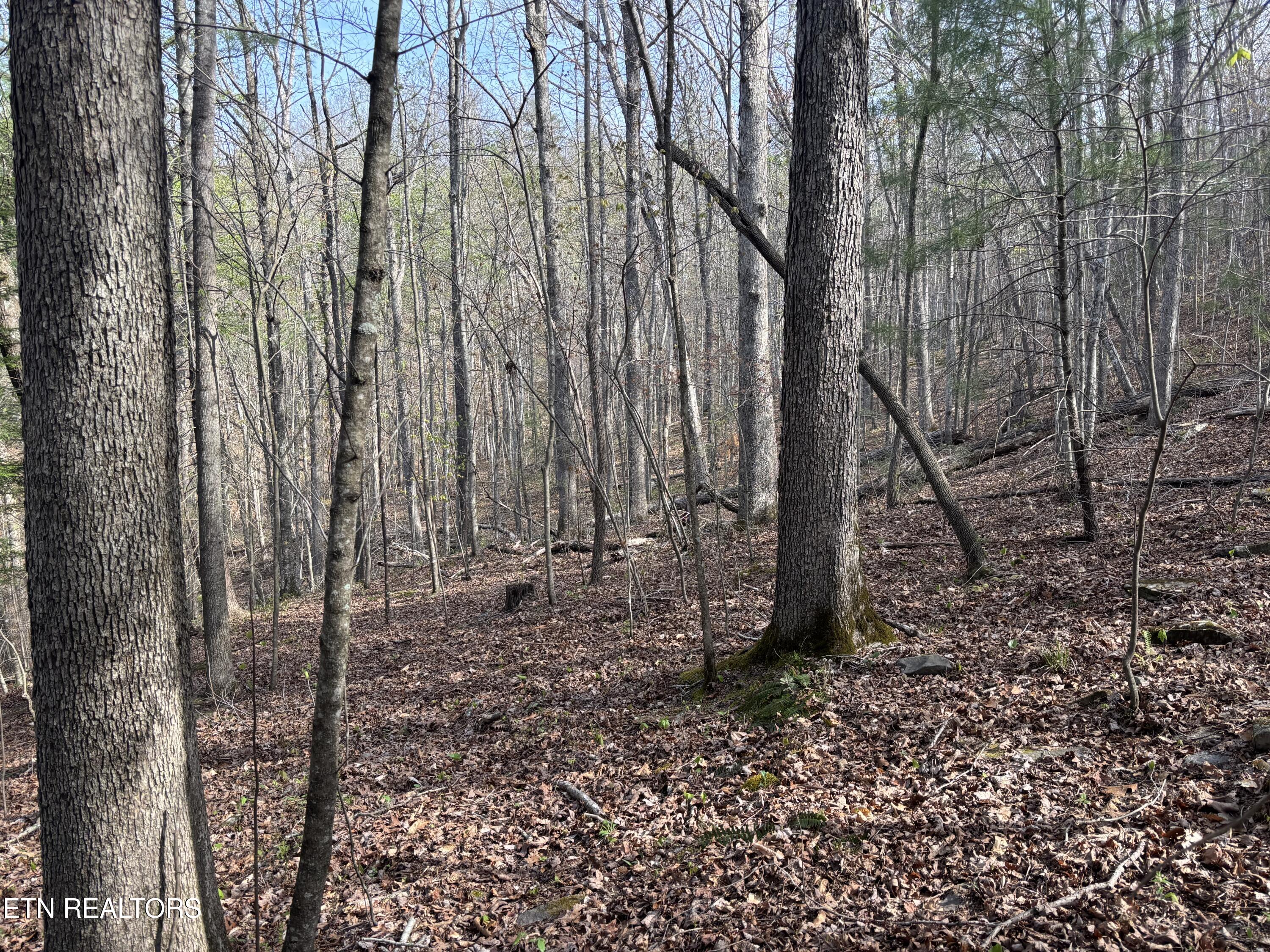 Lawson Road Huntsville TN 37756