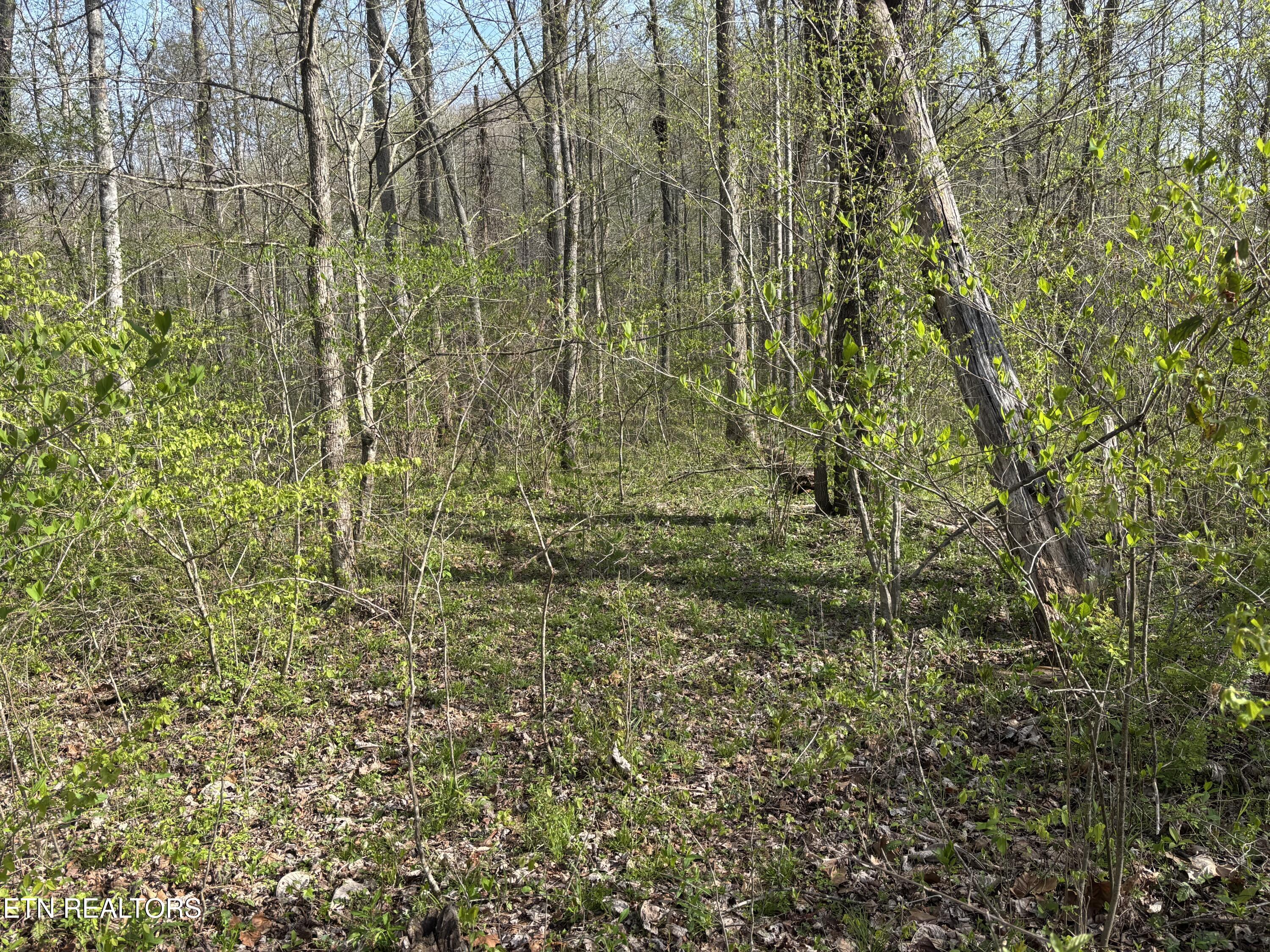Lawson Road Huntsville TN 37756