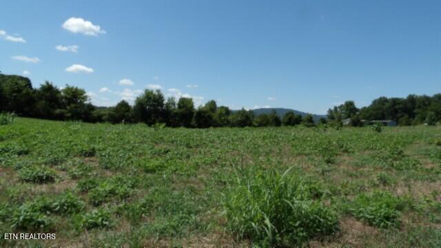 Lot 38 Ranchside Drive Rock Island TN 38581