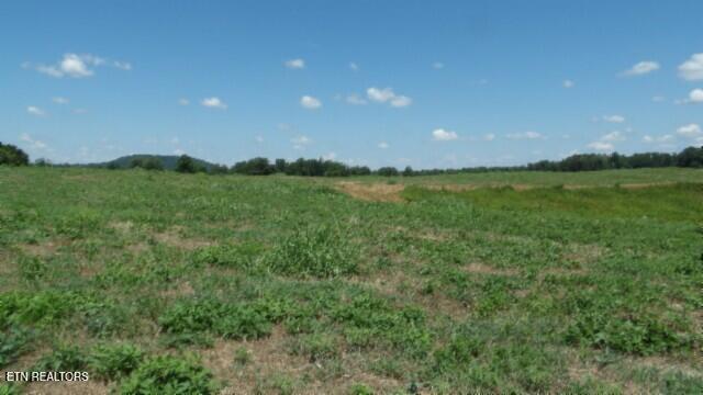Lot 38 Ranchside Drive Rock Island TN 38581