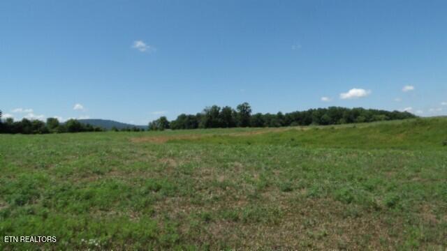 Lot 38 Ranchside Drive Rock Island TN 38581