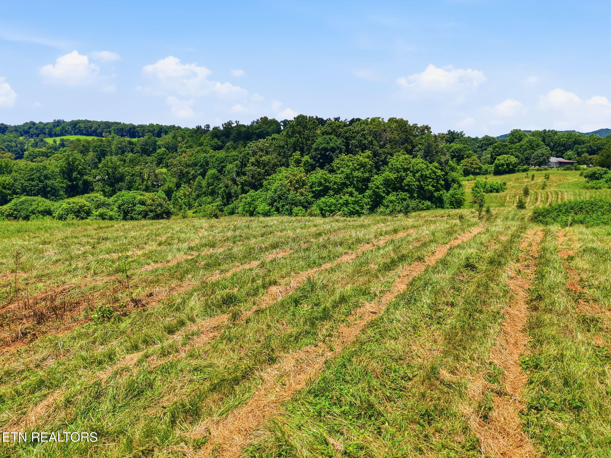 Old Tazewell Off Pike Corryton TN 37721