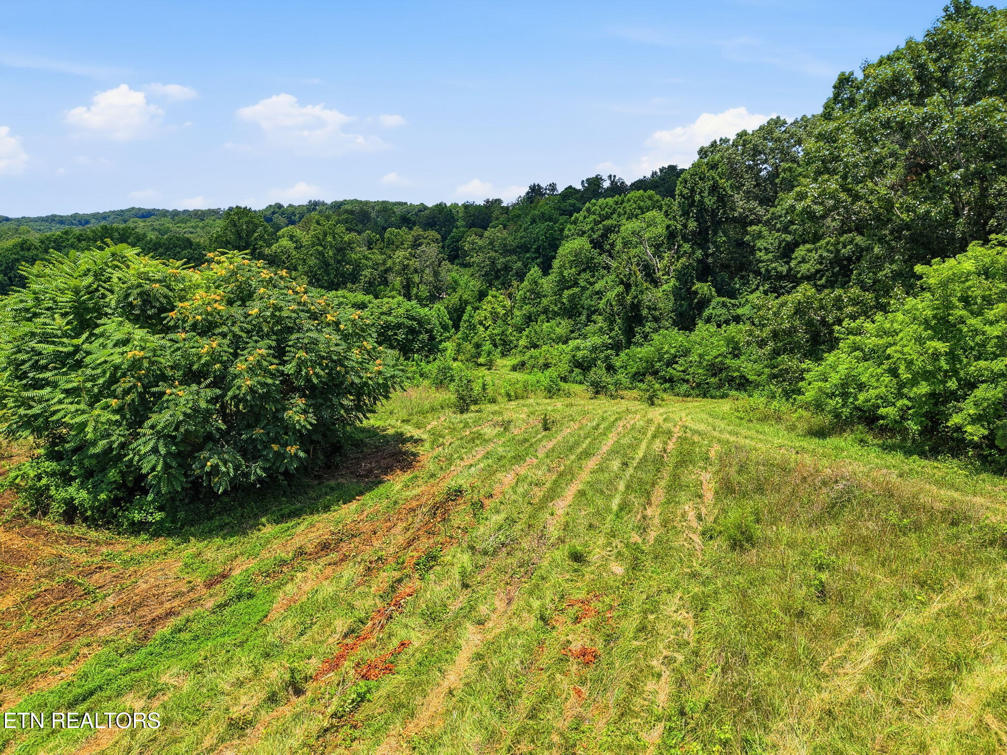 Old Tazewell Off Pike Corryton TN 37721