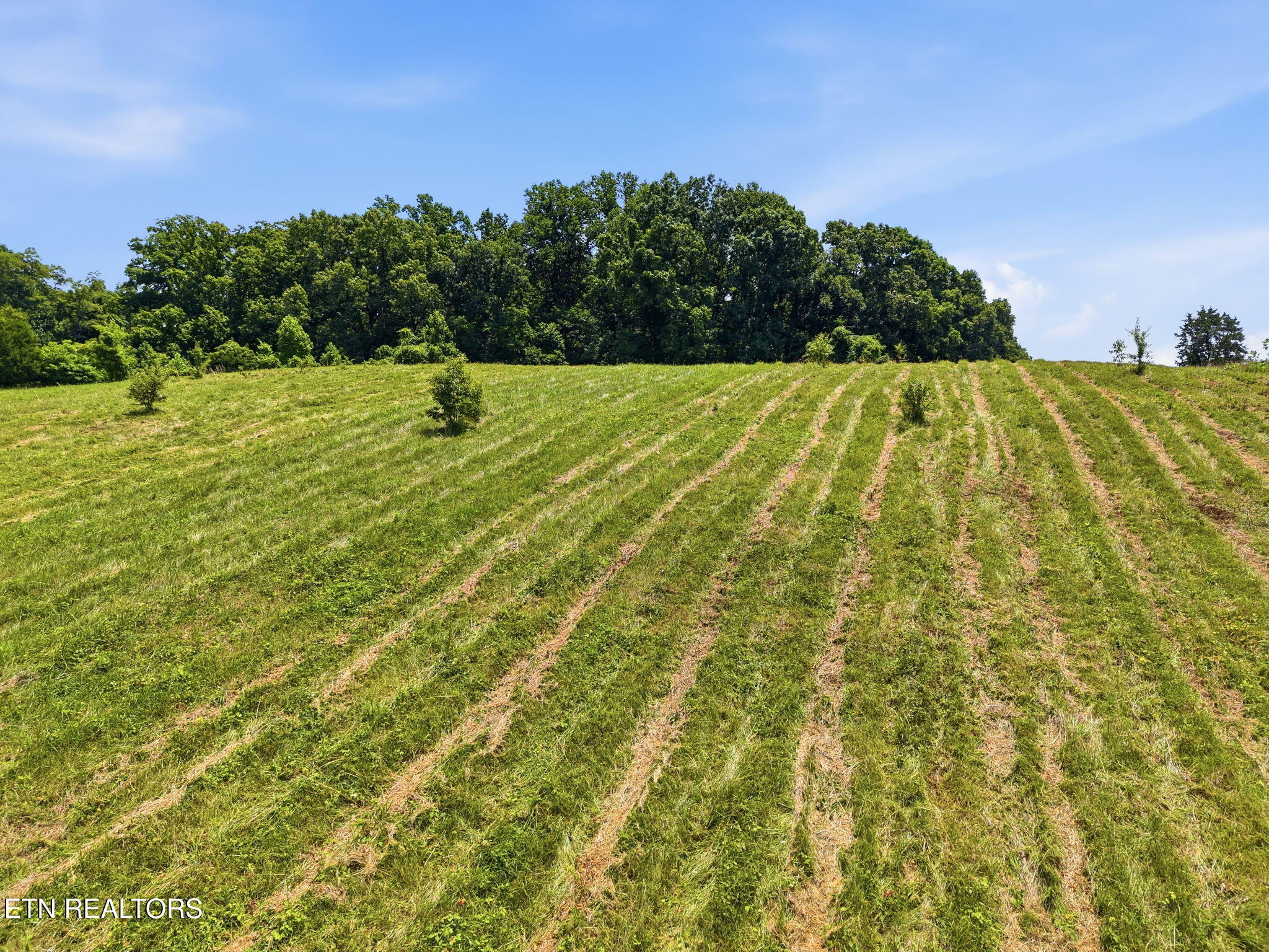 Old Tazewell Off Pike Corryton TN 37721