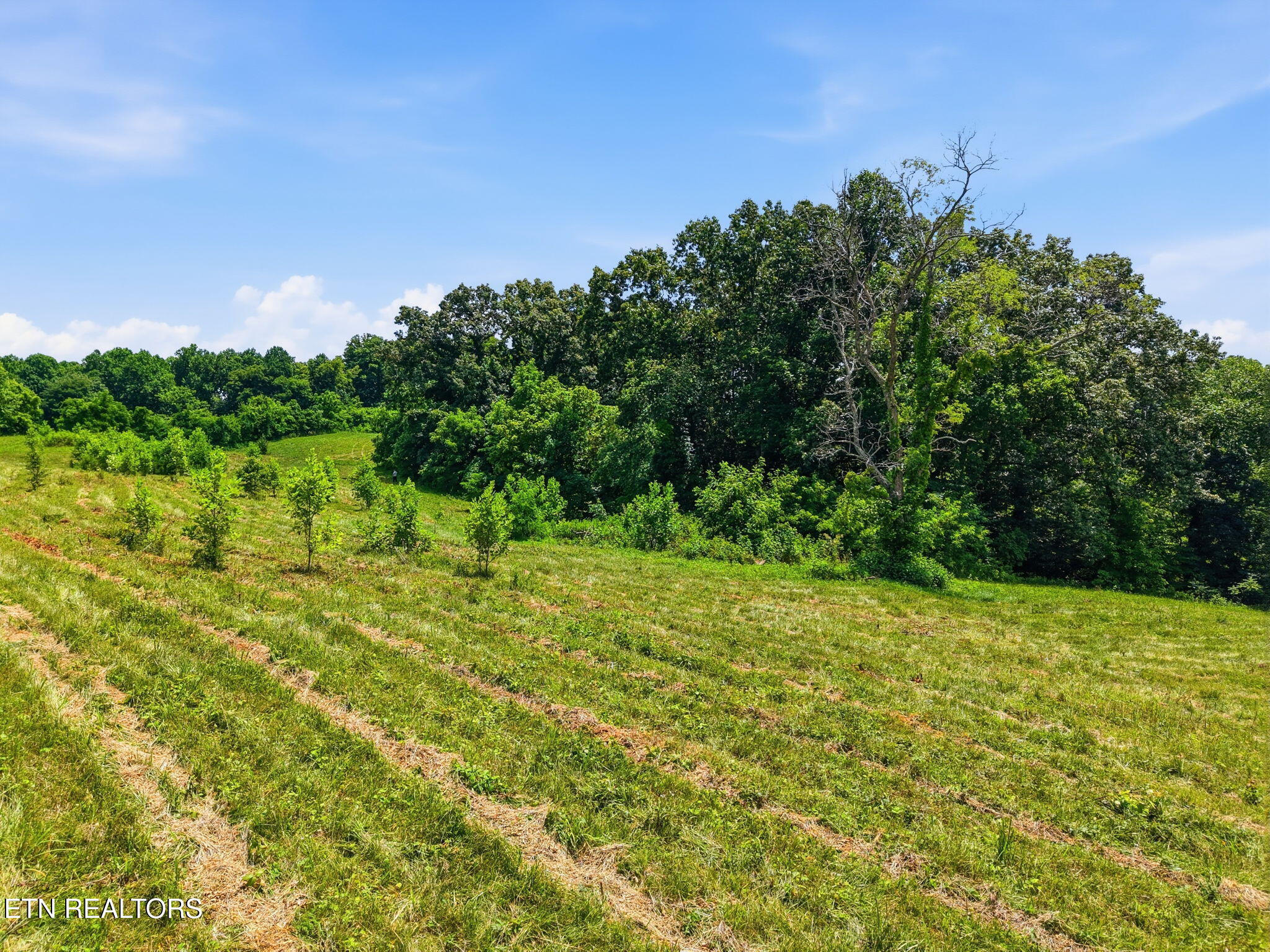 Old Tazewell Off Pike Corryton TN 37721