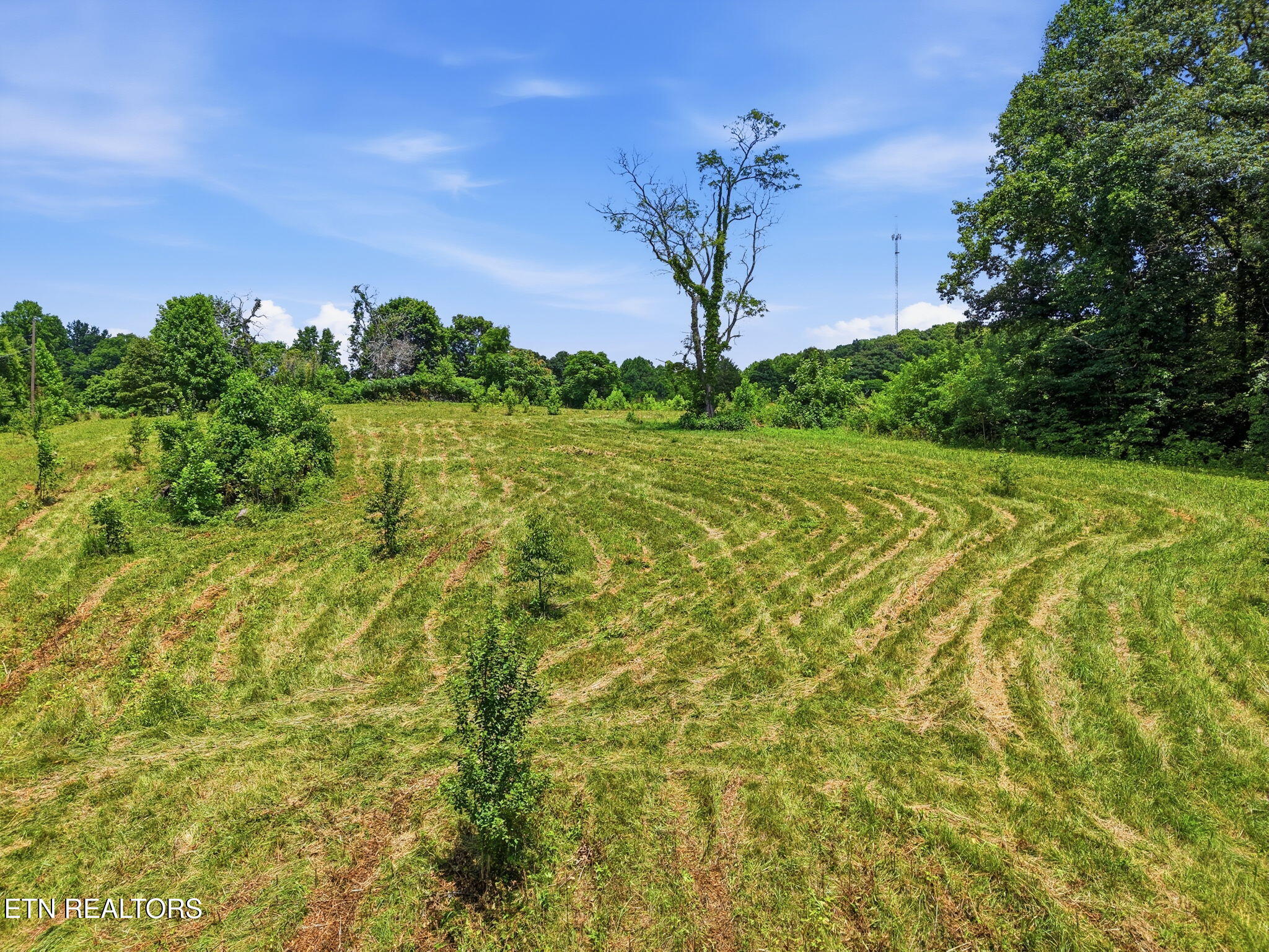 Old Tazewell Off Pike Corryton TN 37721