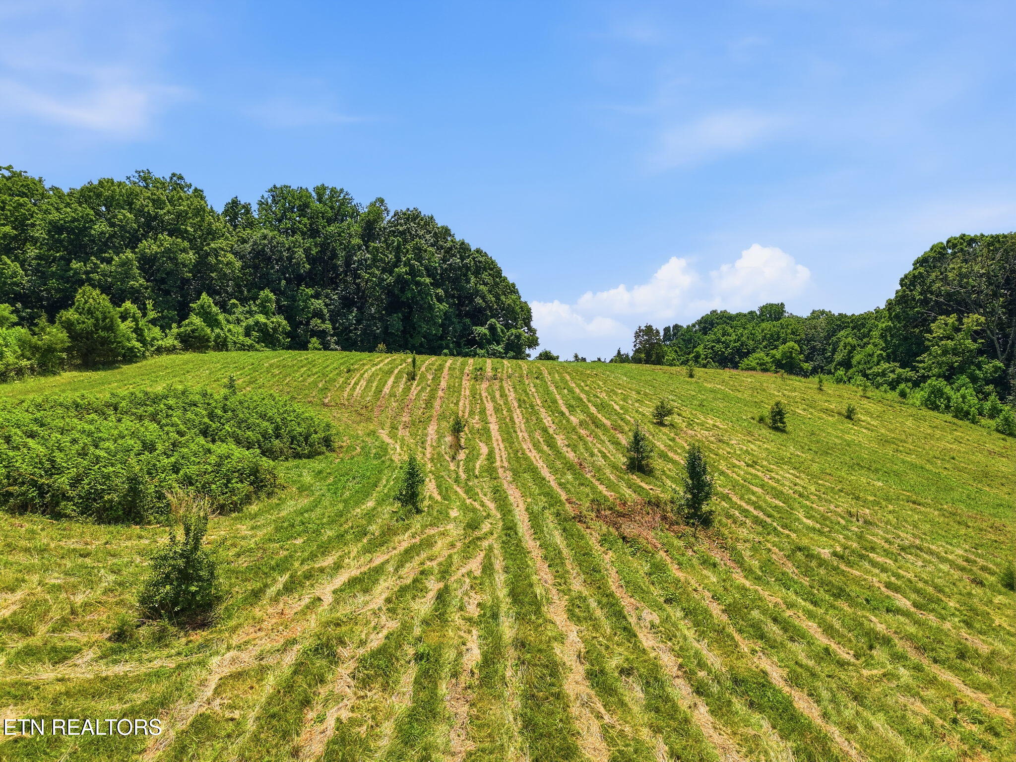 Old Tazewell Off Pike Corryton TN 37721
