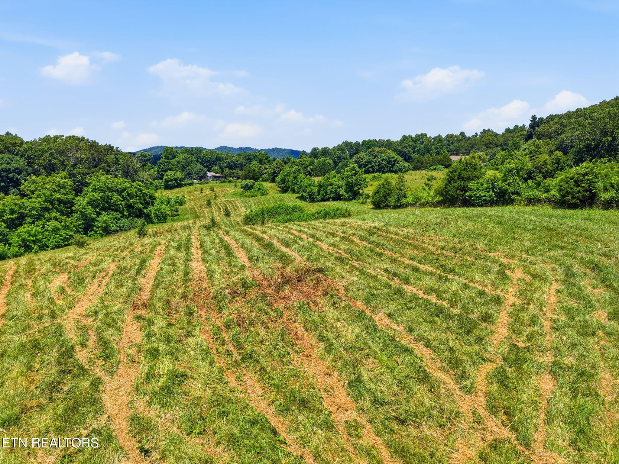 Old Tazewell Off Pike Corryton TN 37721