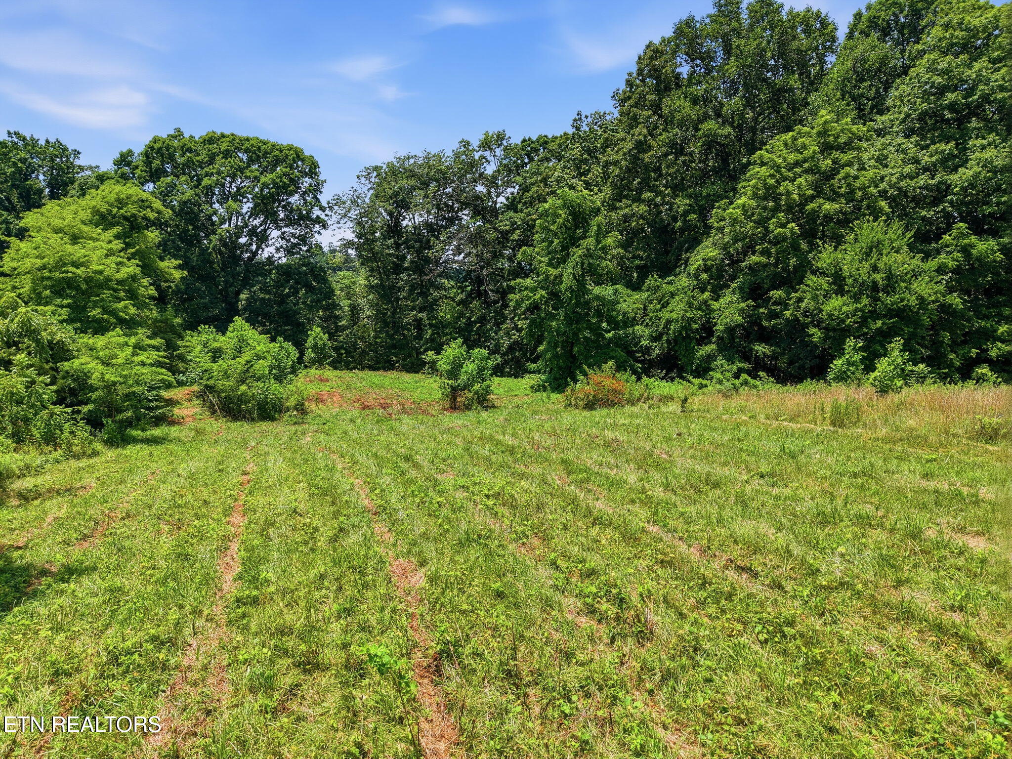 Old Tazewell Off Pike Corryton TN 37721